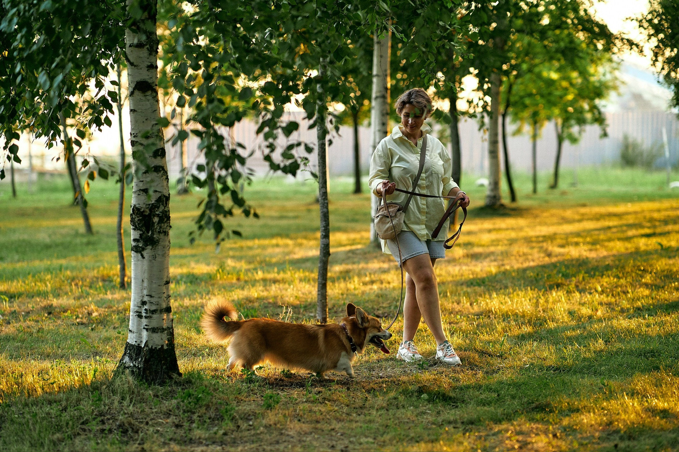Корги фотограф спб