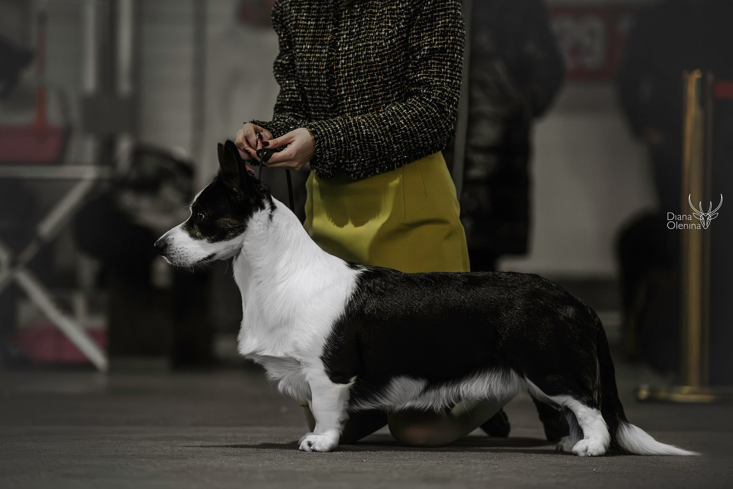 С выставок. Фотограф Диана Оленина Красноярск / Братск