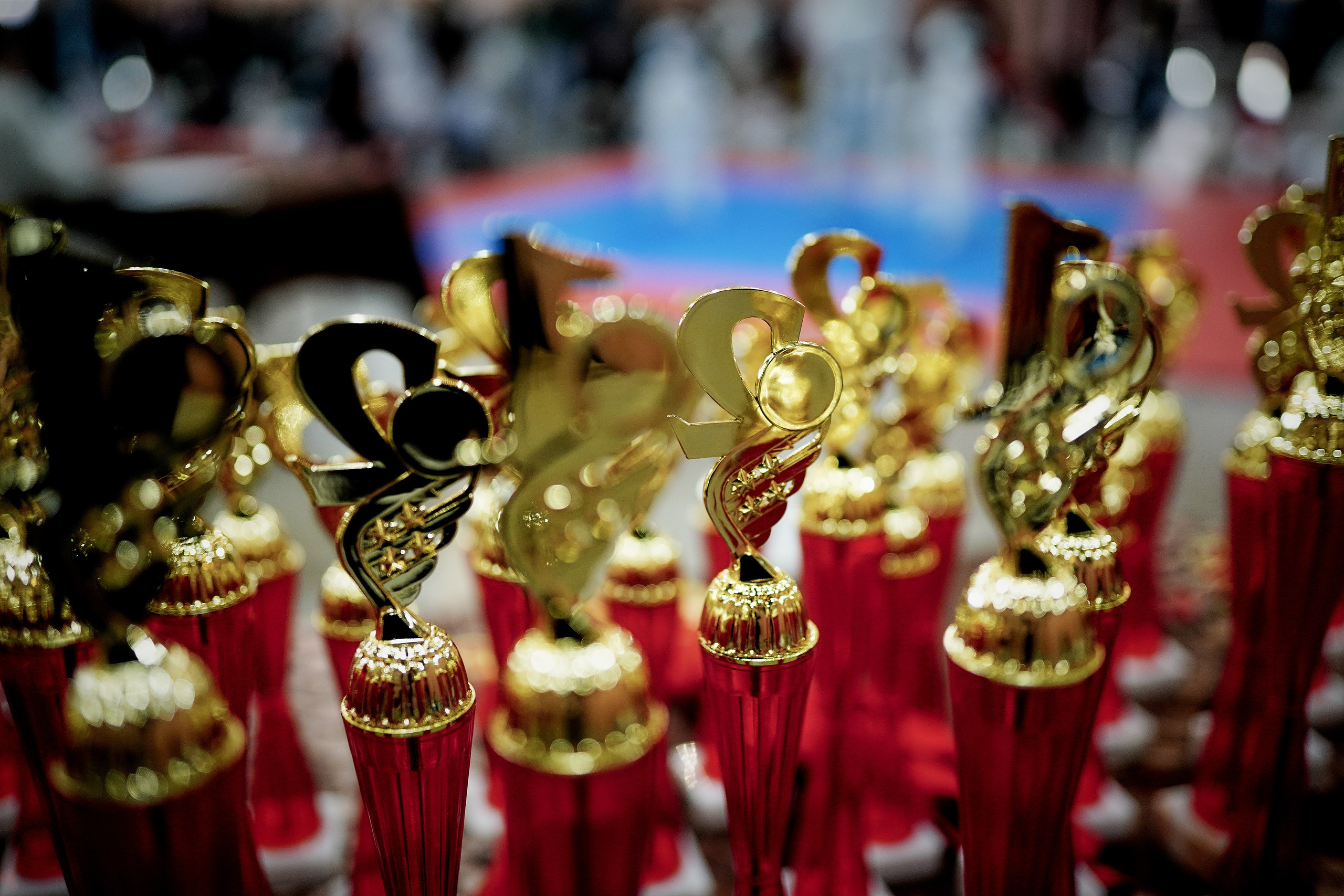 Репортаж детских соревнований киокушин каратэ. Репортажный фотограф Ирина Курманаева