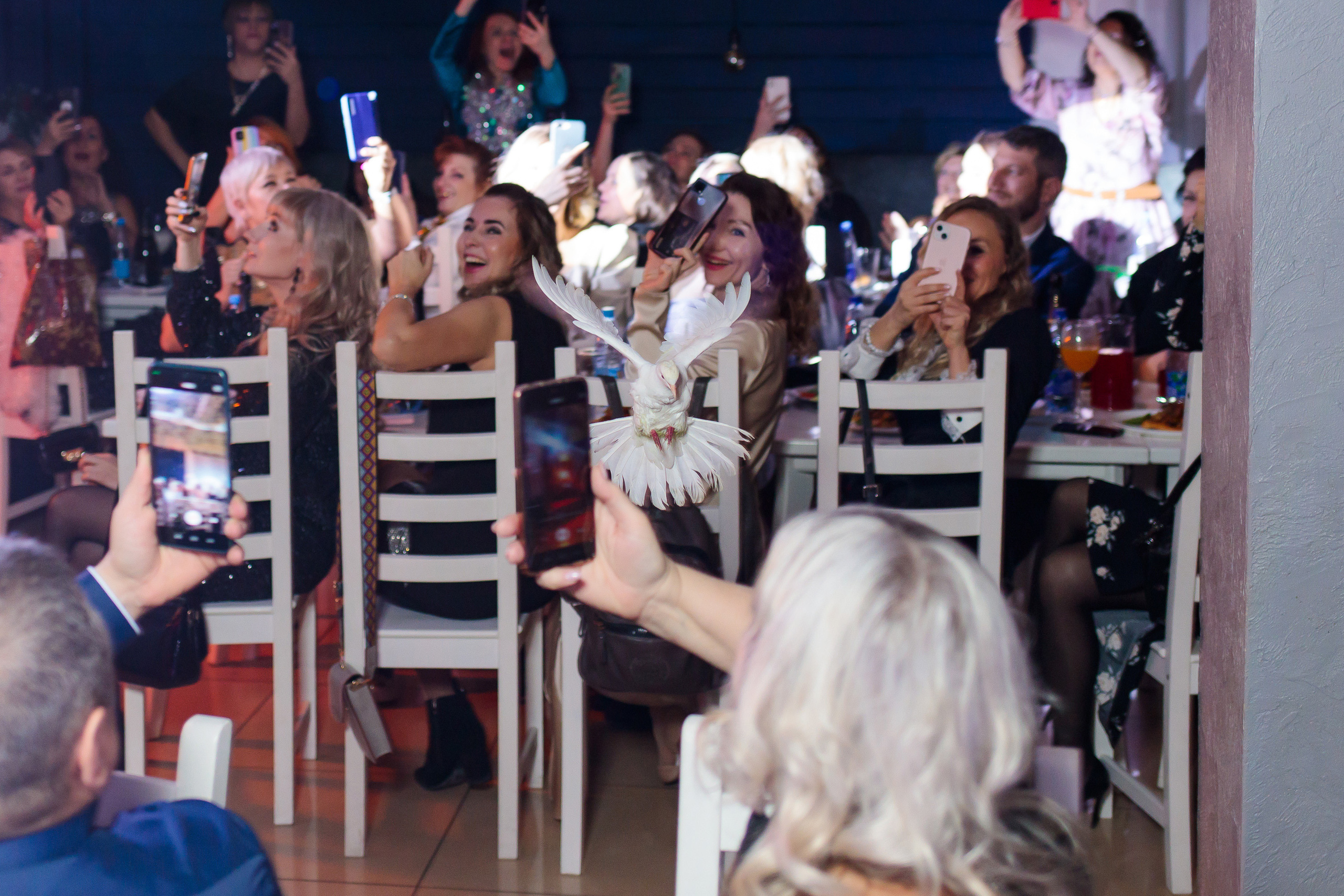 Фотограф Новокузнецк. Фотограф в Новокузнецке Бахтияр Омуров