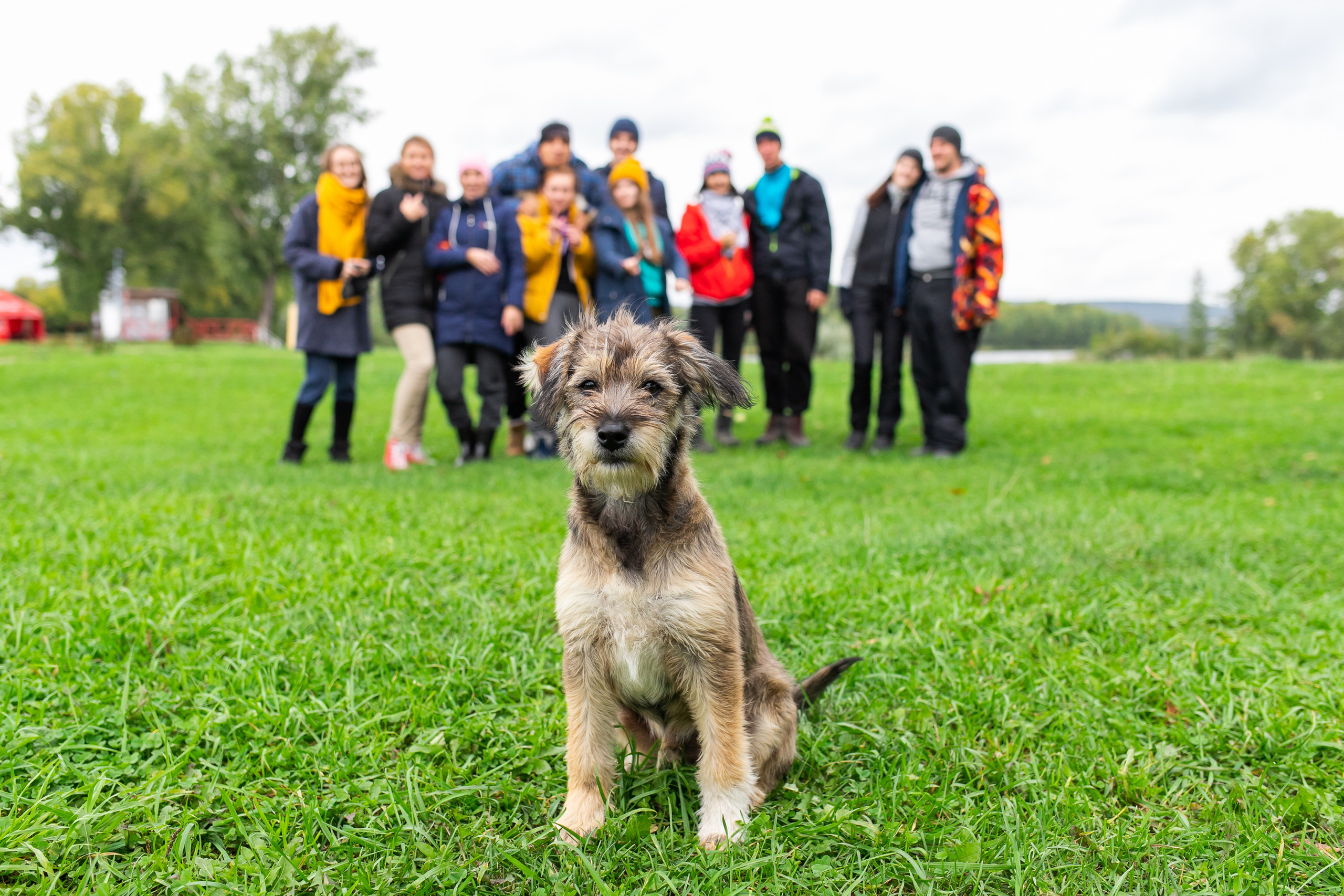 Фотограф Новокузнецк. Фотограф в Новокузнецке Бахтияр Омуров