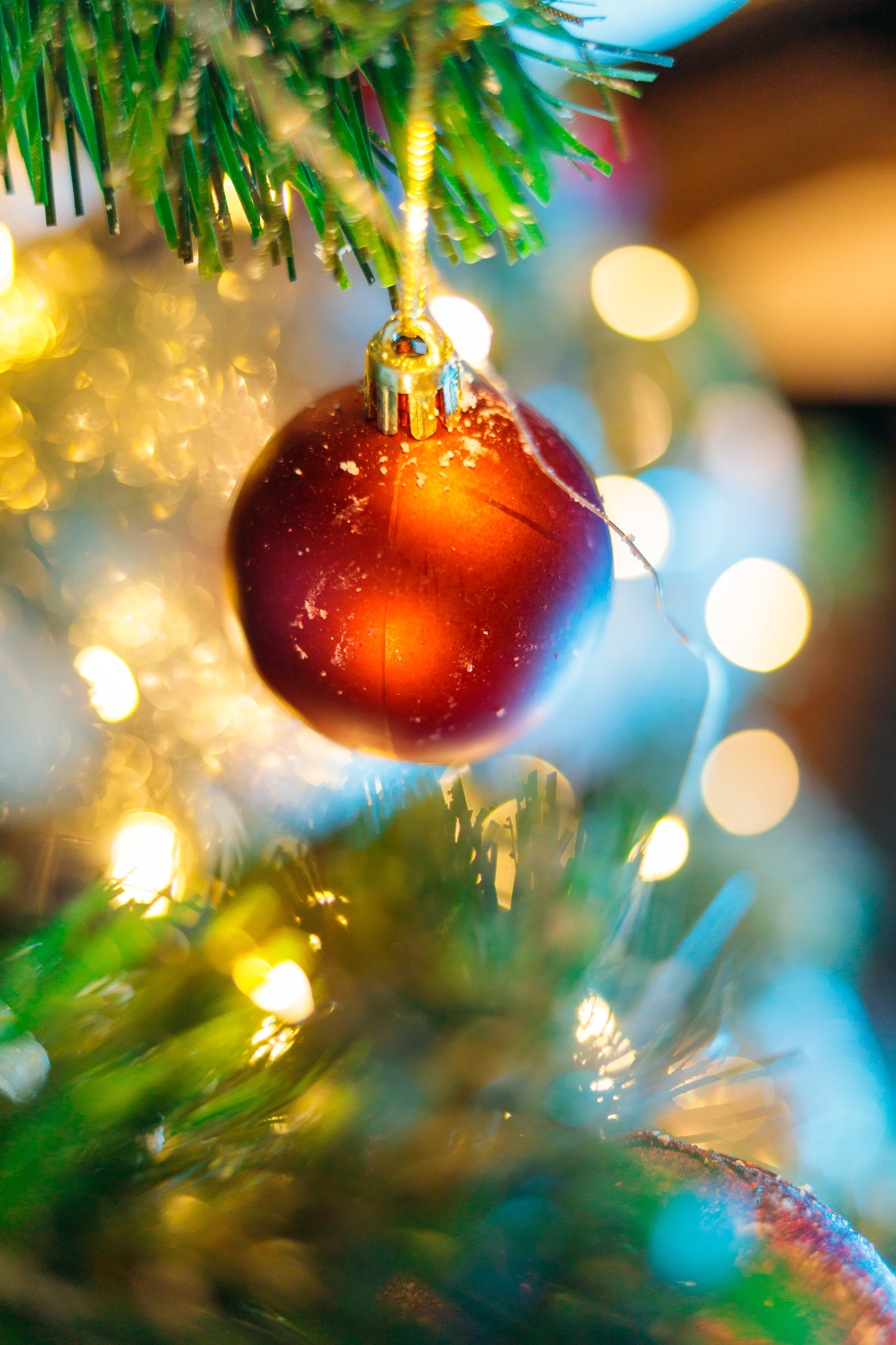 Фотограф Новокузнецк. Фотограф в Новокузнецке Бахтияр Омуров