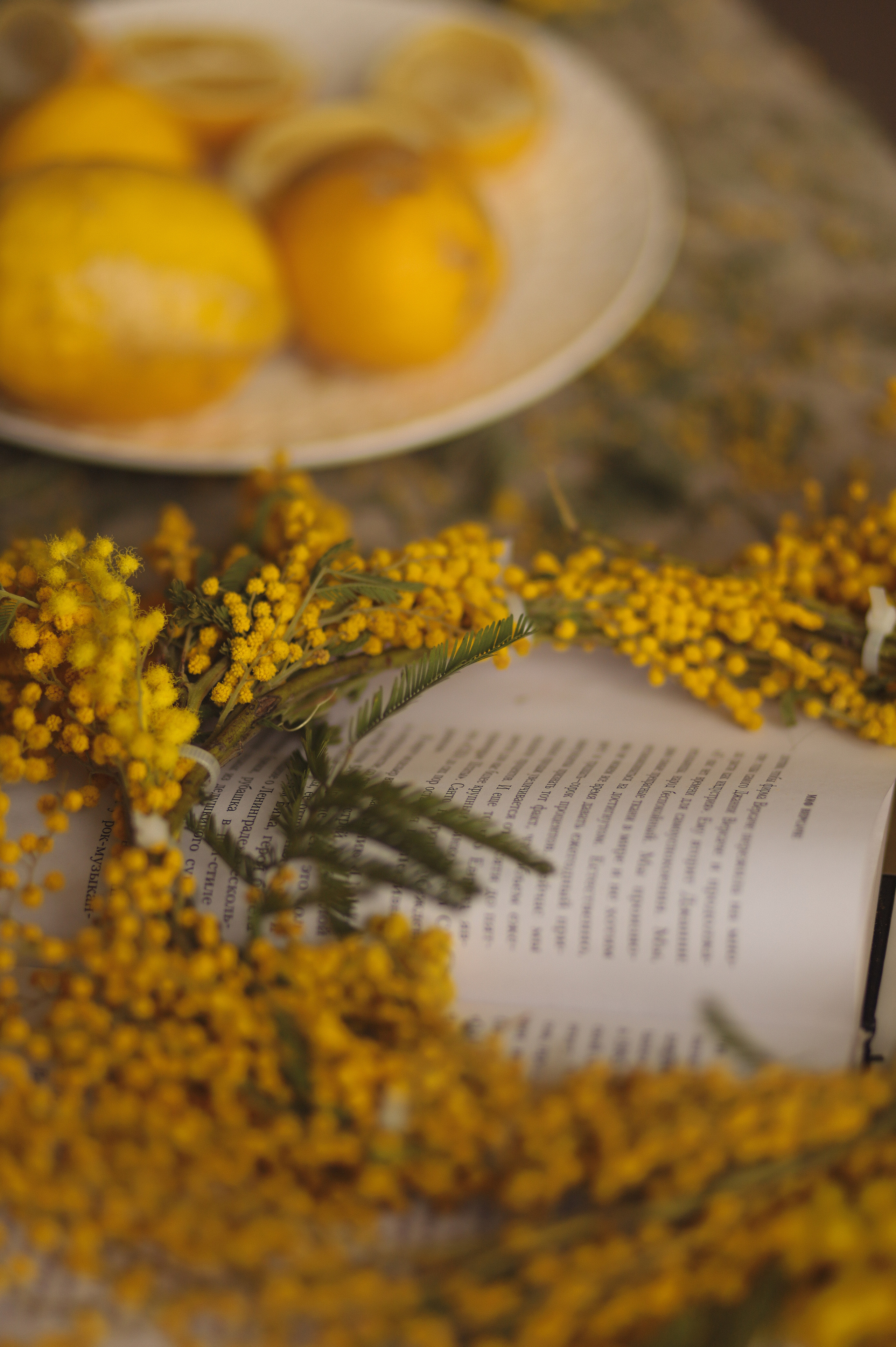 Весна пришла, друзья. Семейный и женский фотограф