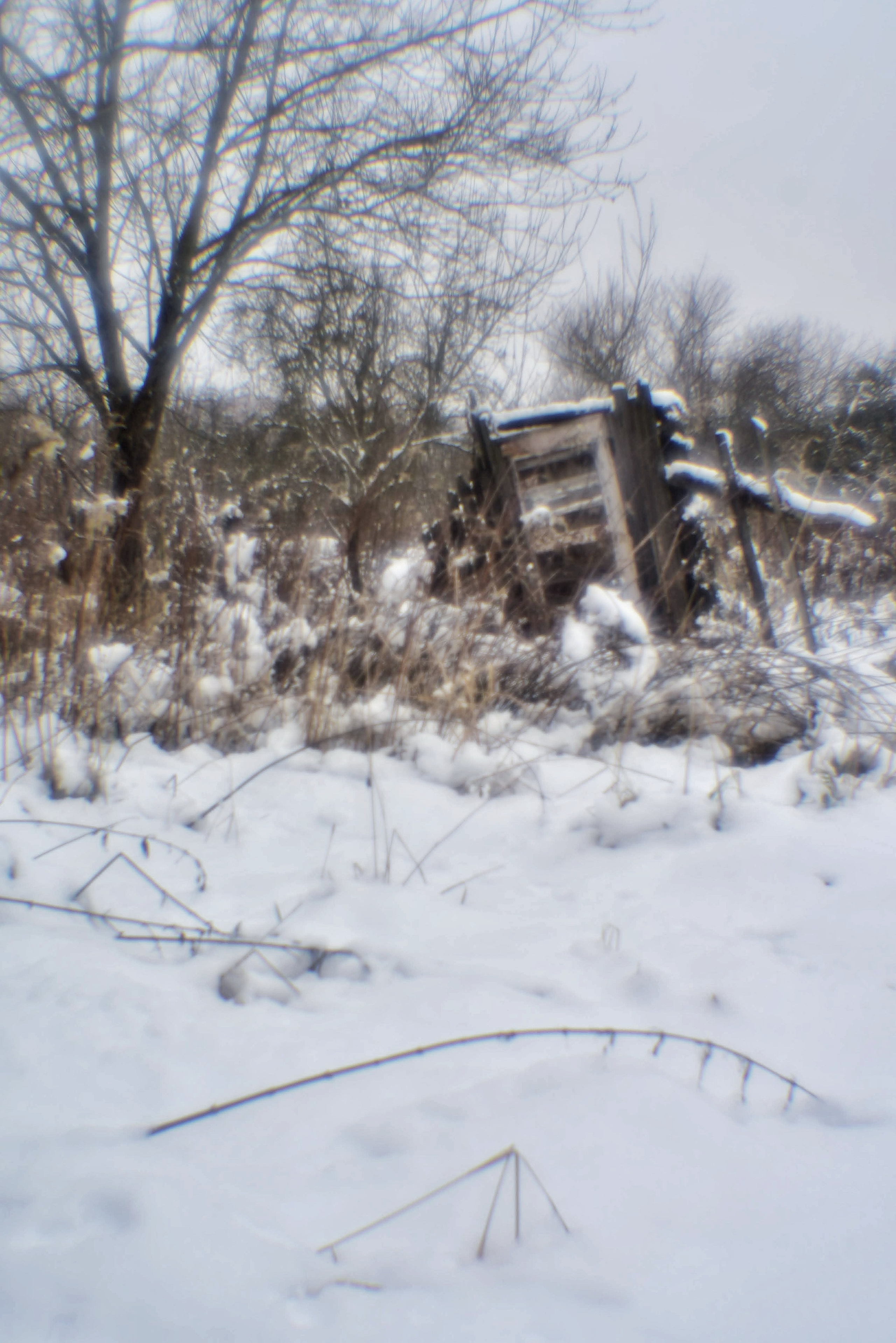 Монокль. То ещё портфолио