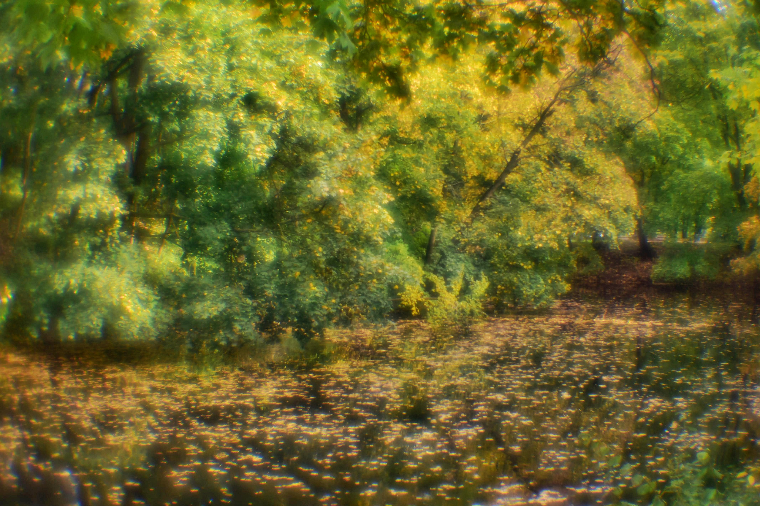 Монокль. То ещё портфолио