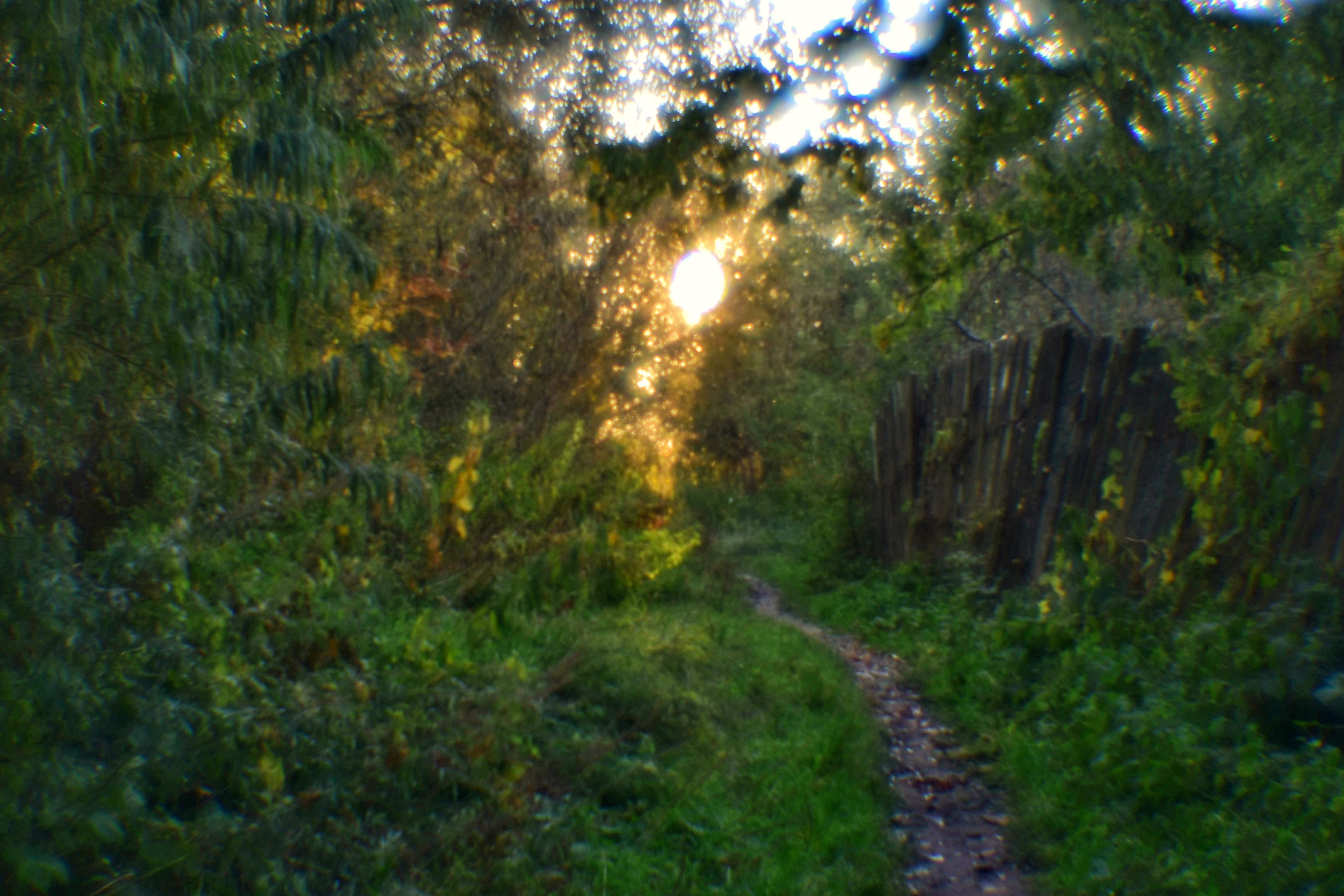 Монокль. То ещё портфолио