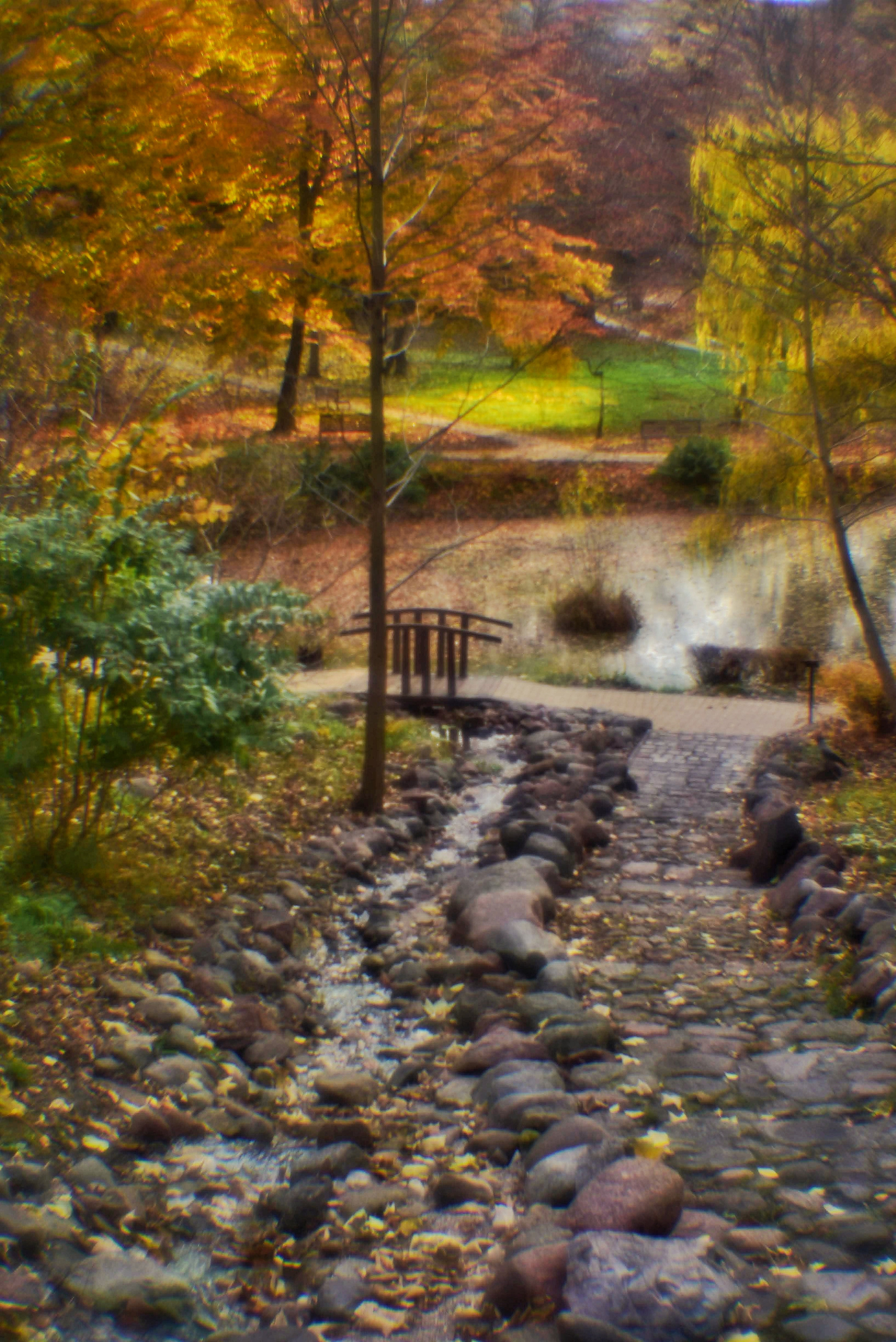 Монокль. То ещё портфолио