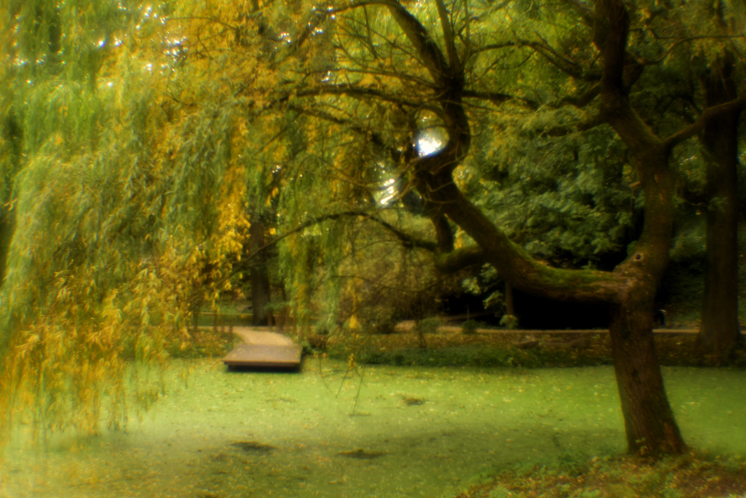 Монокль. То ещё портфолио