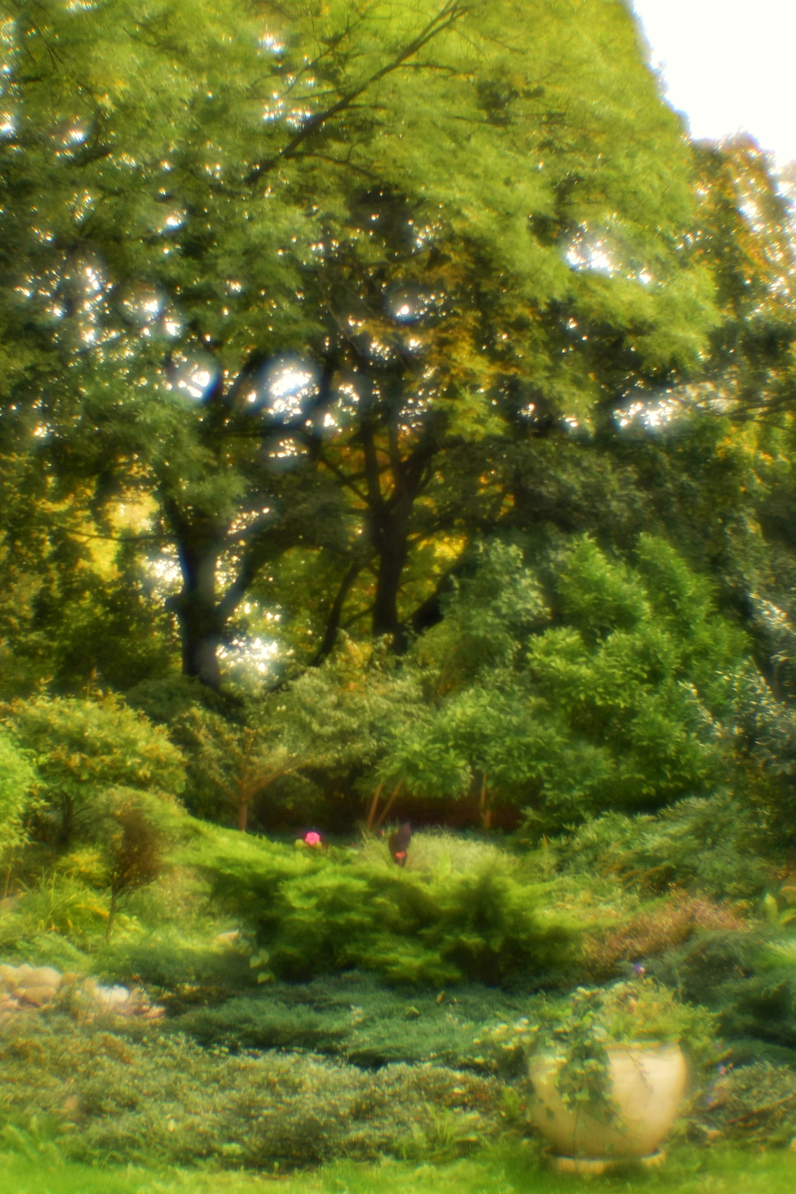 Монокль. То ещё портфолио