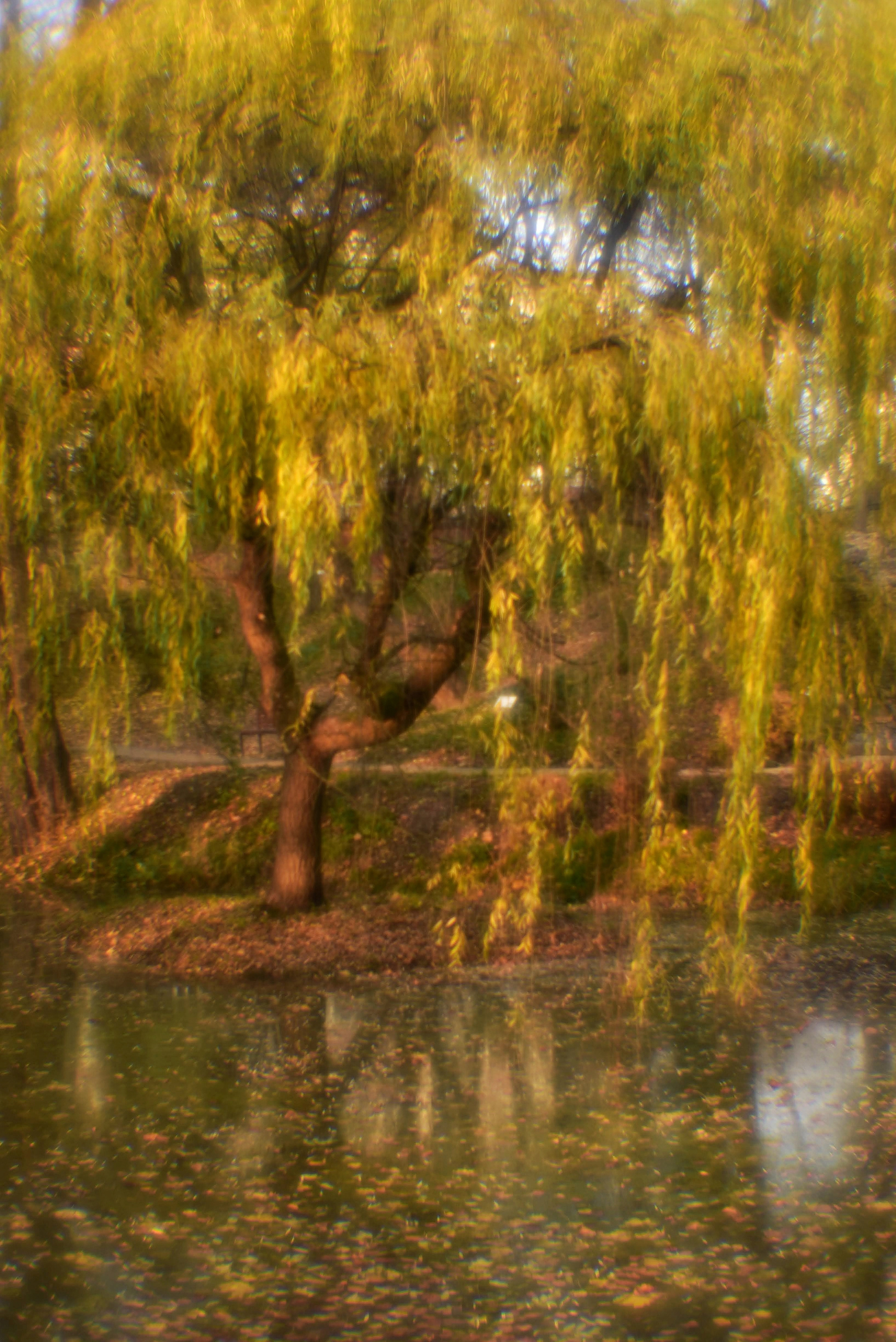 Монокль. То ещё портфолио