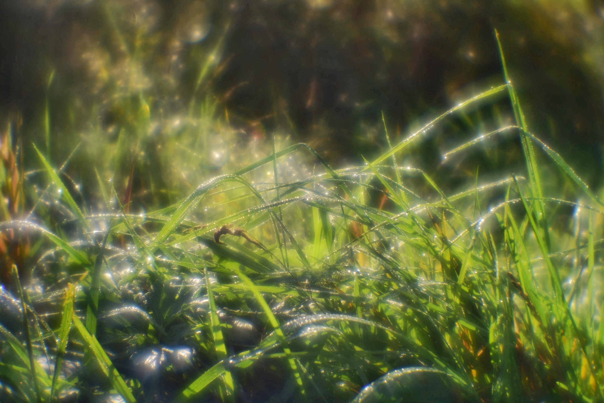 Монокль. То ещё портфолио