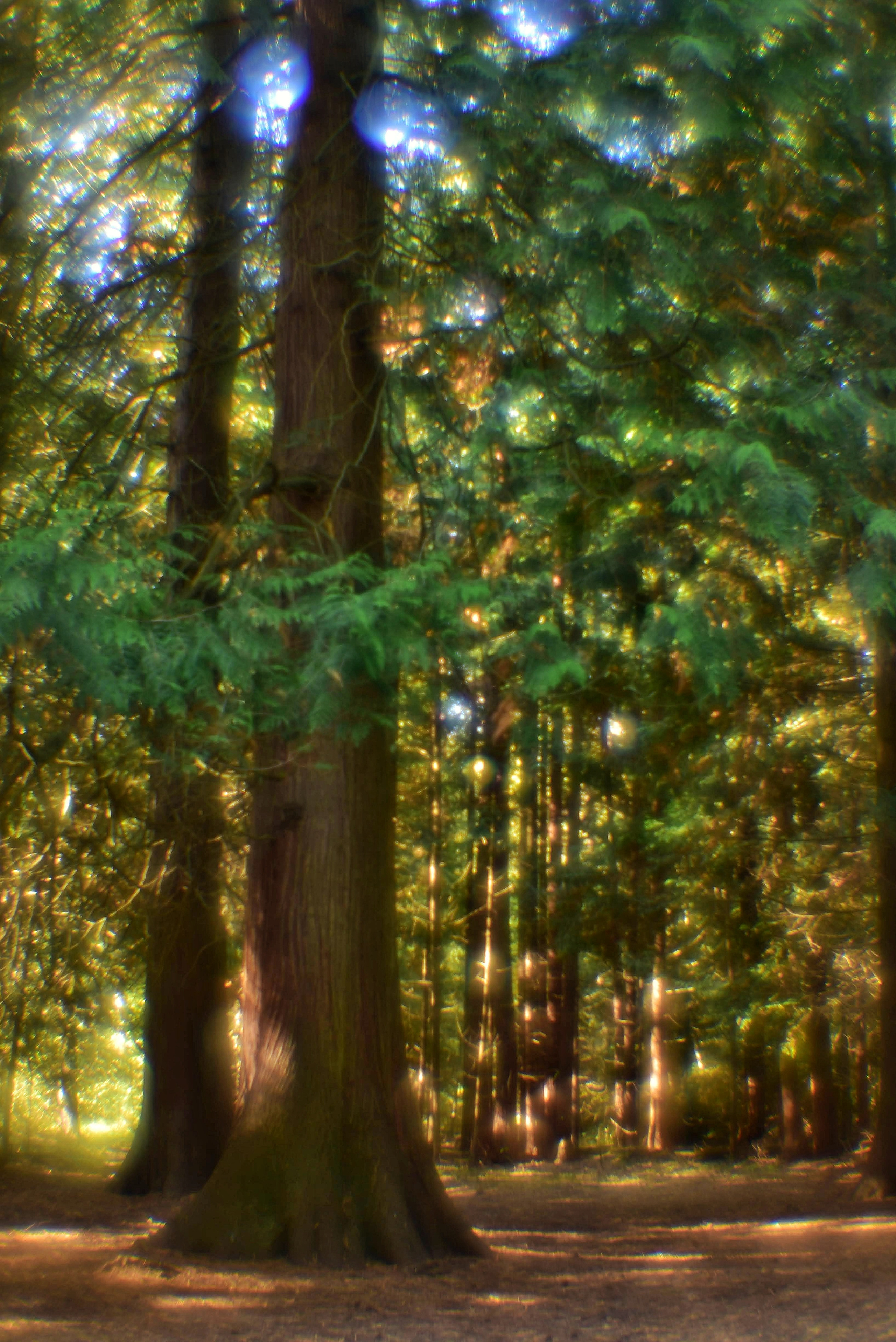 Монокль. То ещё портфолио