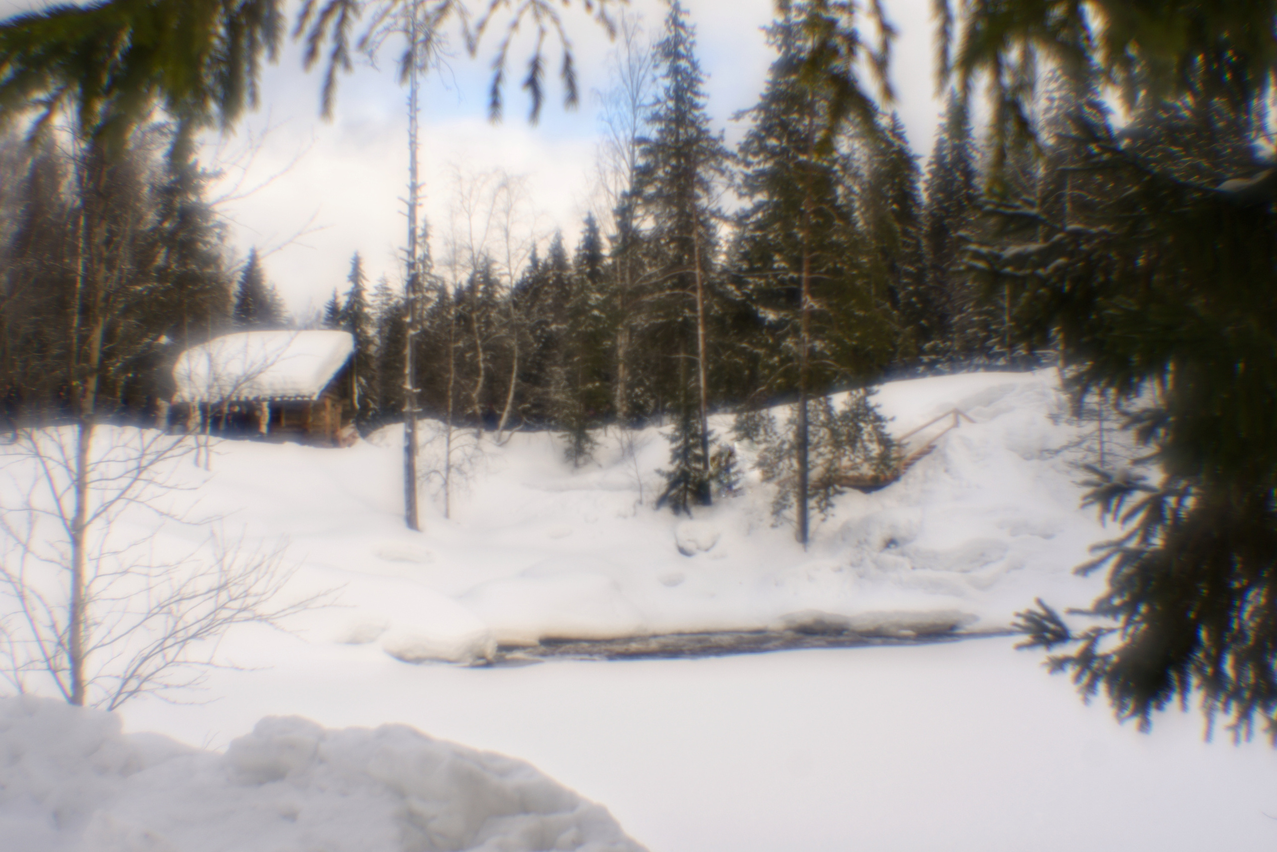 Карелия. 2022. То ещё портфолио