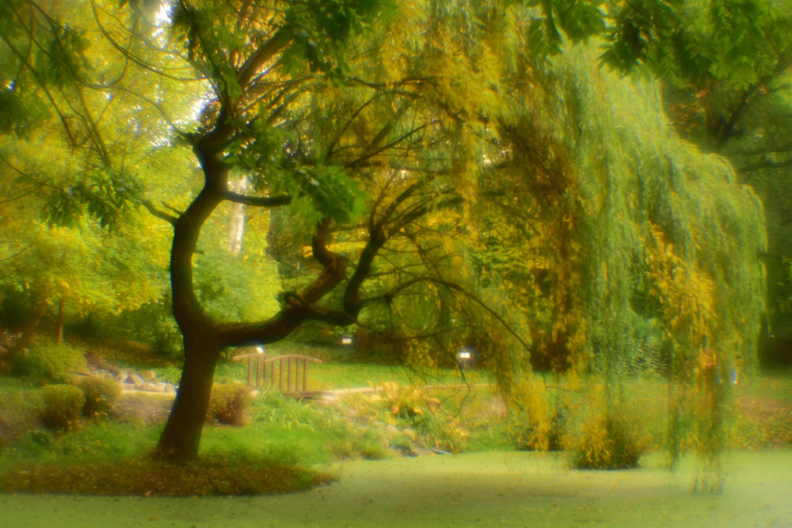 Монокль. То ещё портфолио