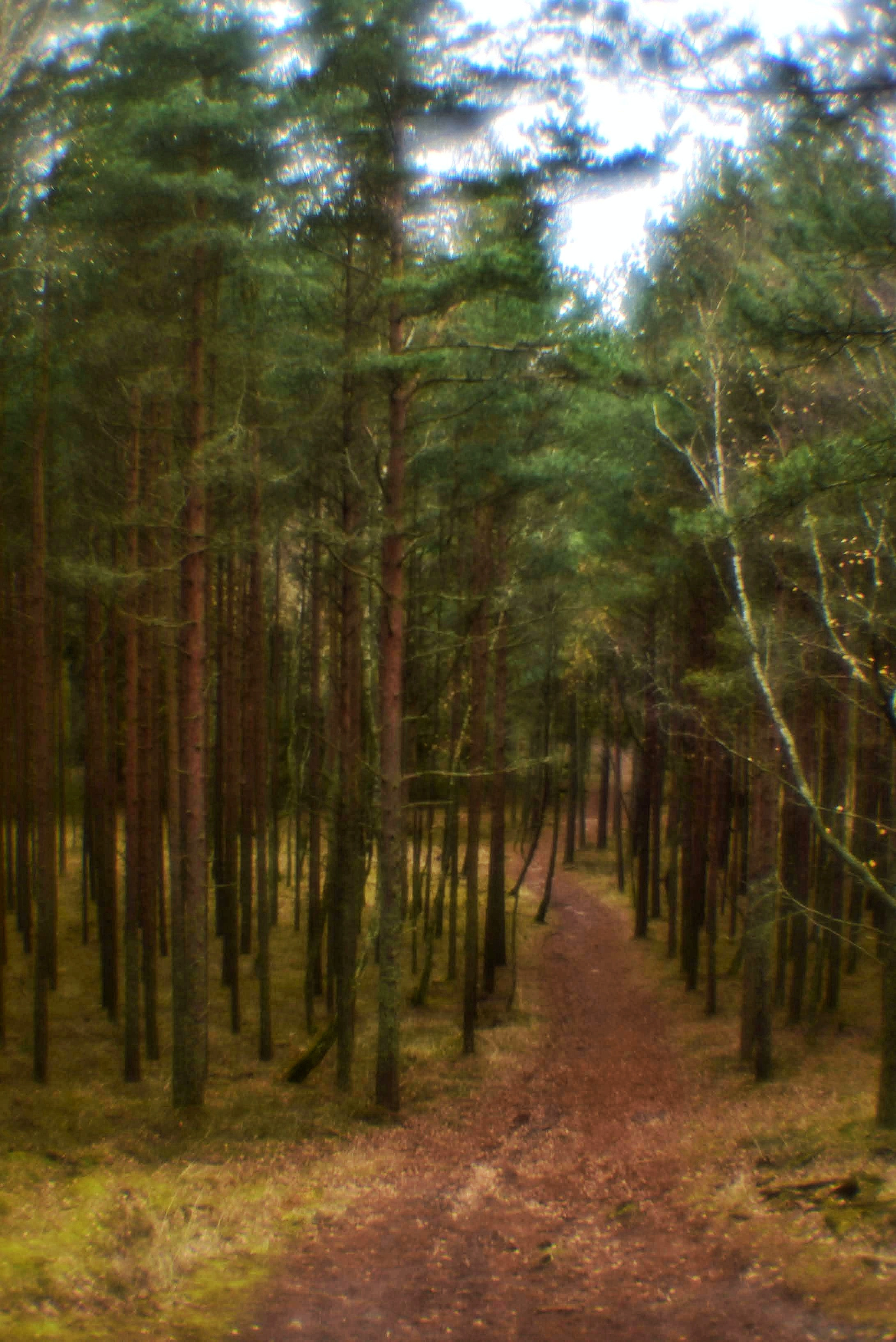 Монокль. То ещё портфолио