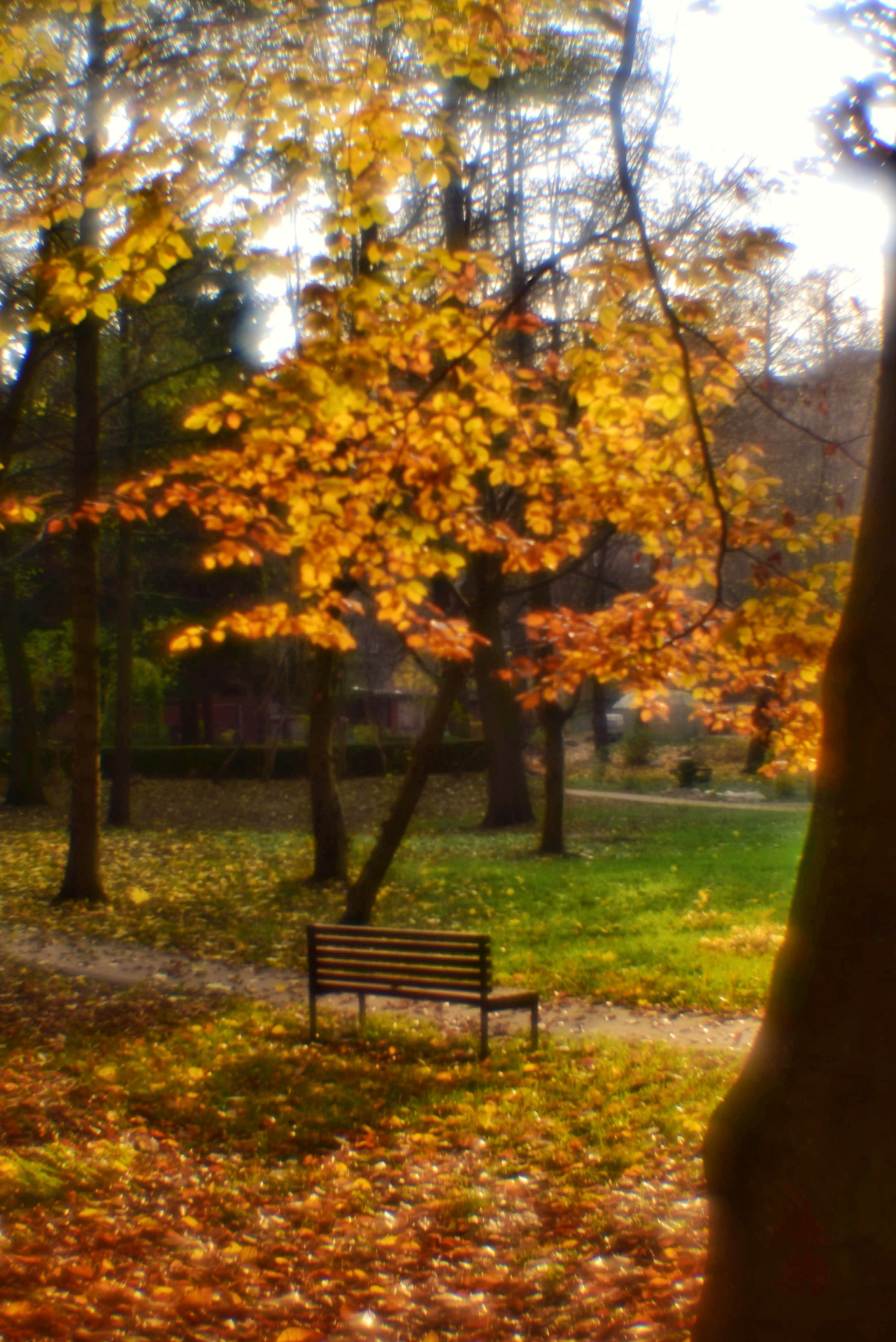 Монокль. То ещё портфолио