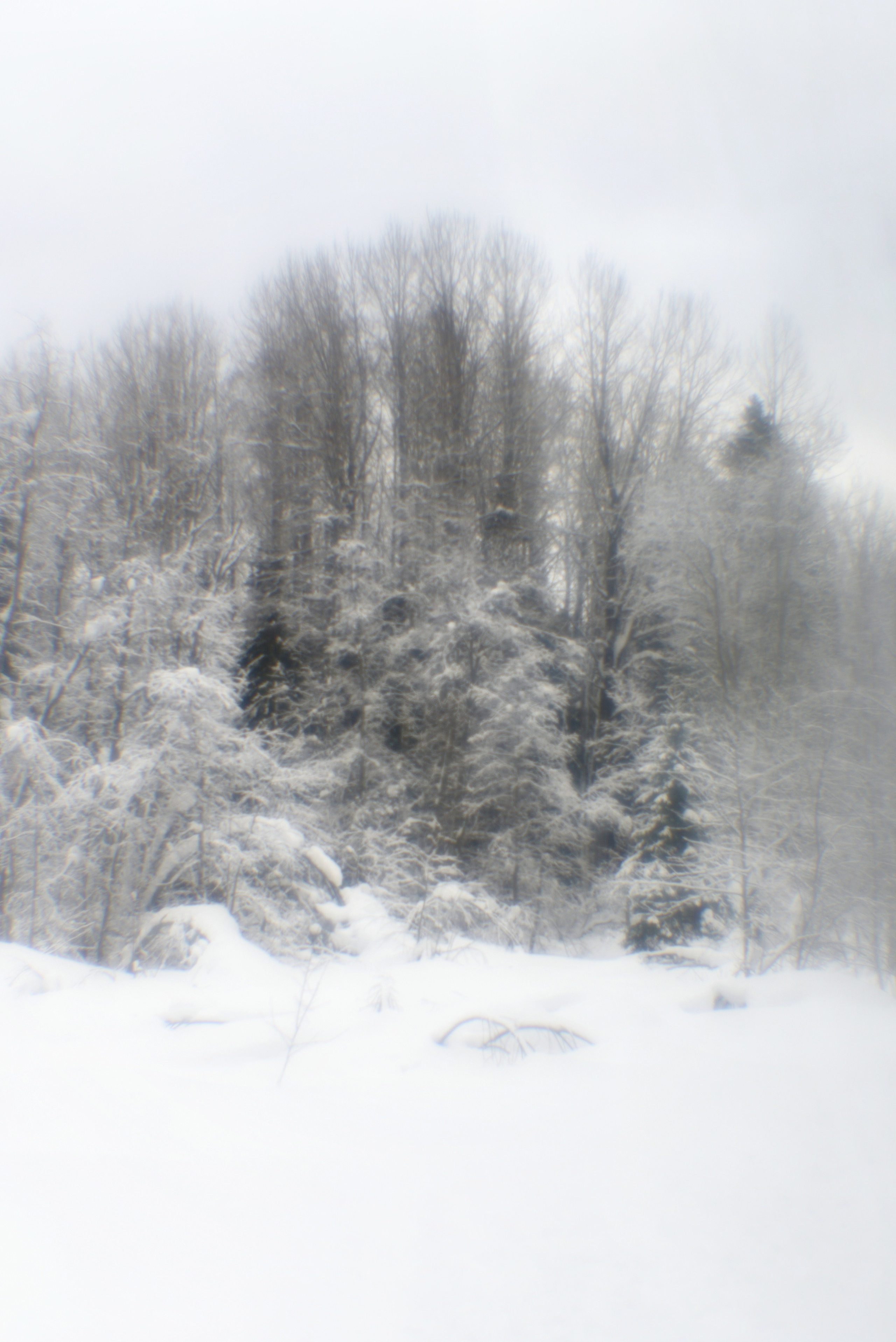 Карелия. 2022. То ещё портфолио