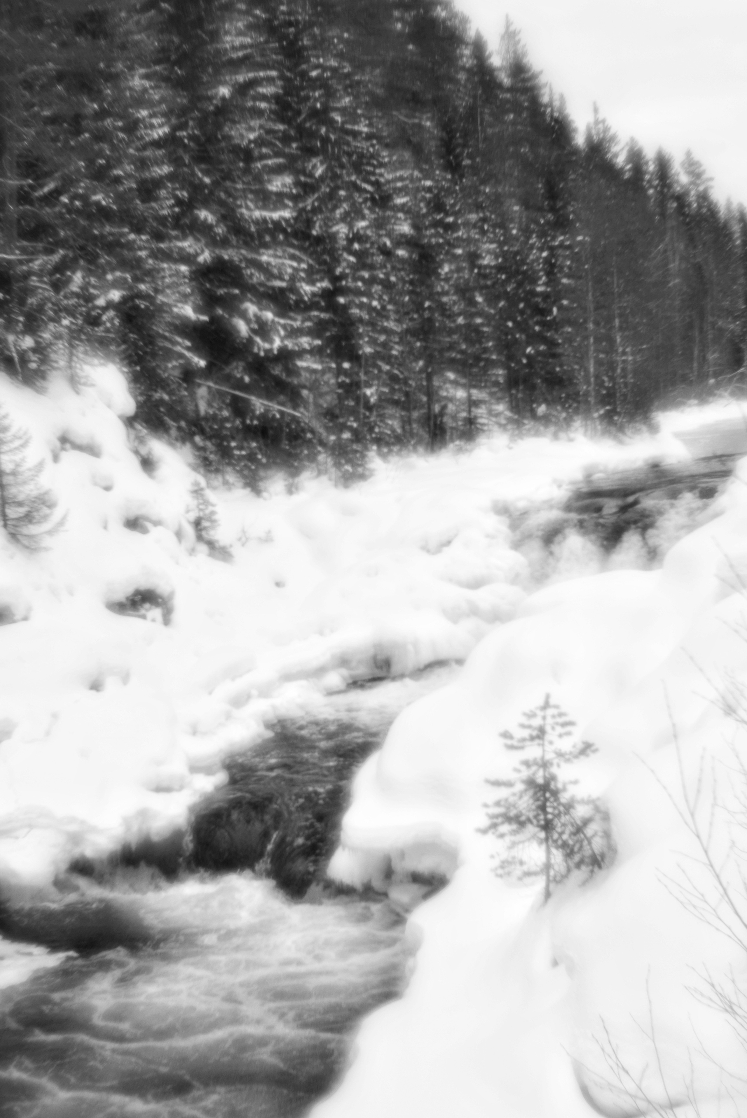 Карелия. 2022. То ещё портфолио