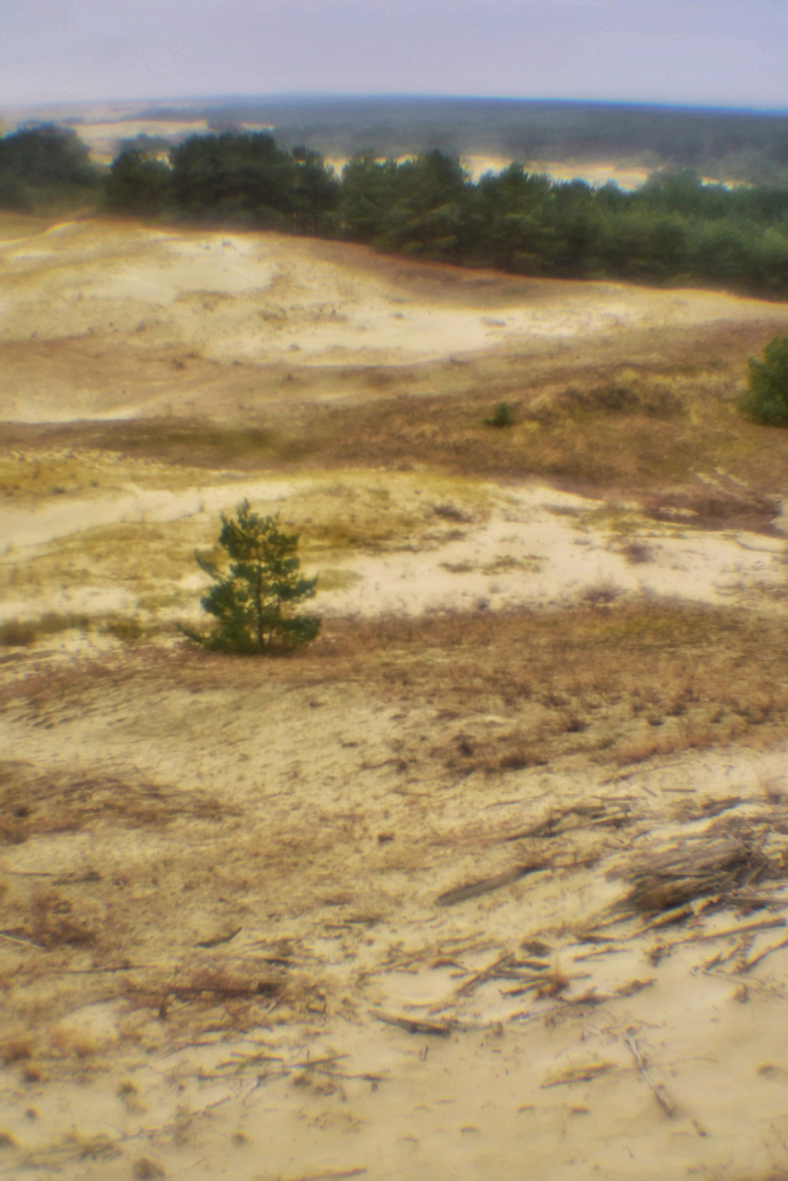 Монокль. То ещё портфолио