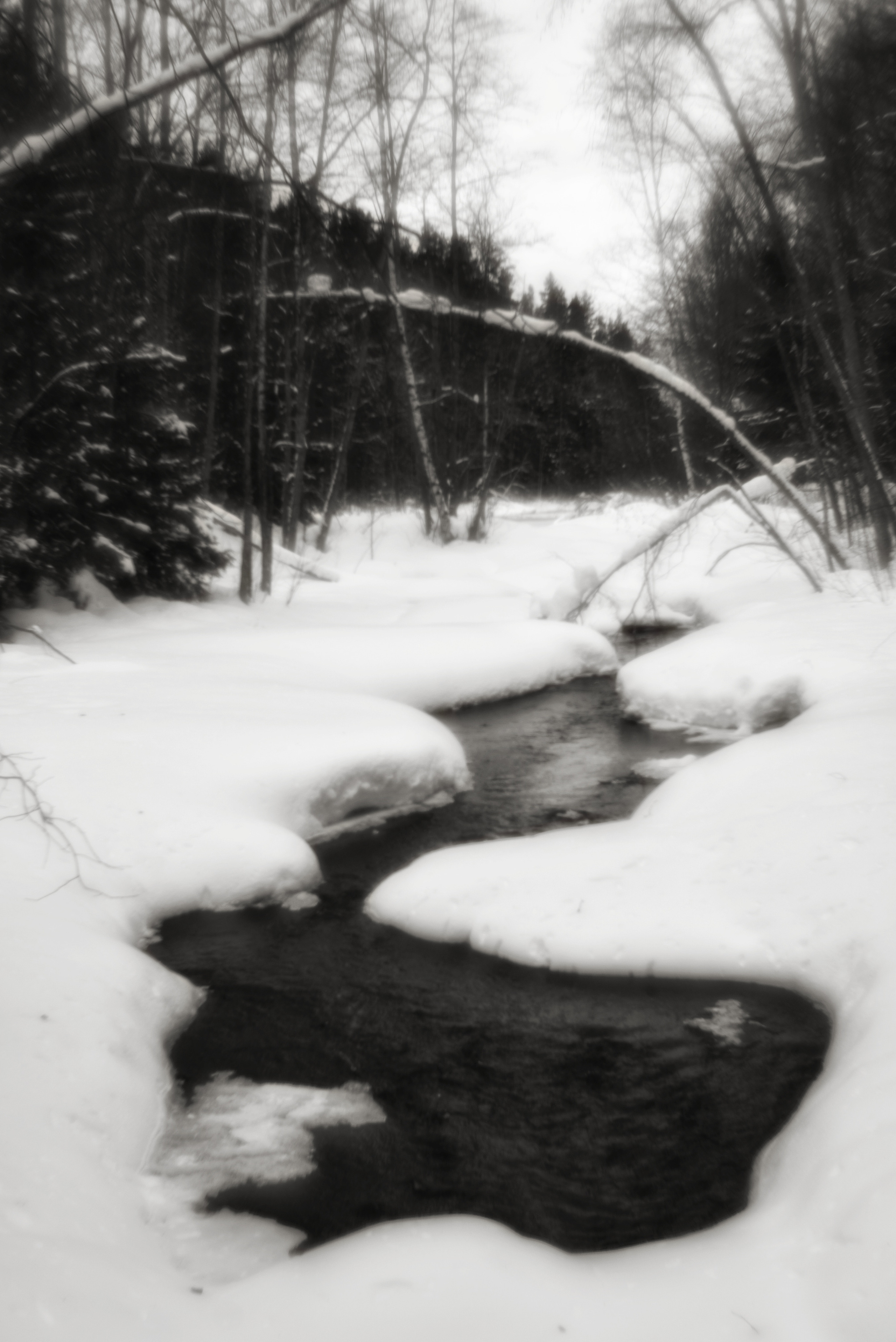 Карелия. 2022. То ещё портфолио