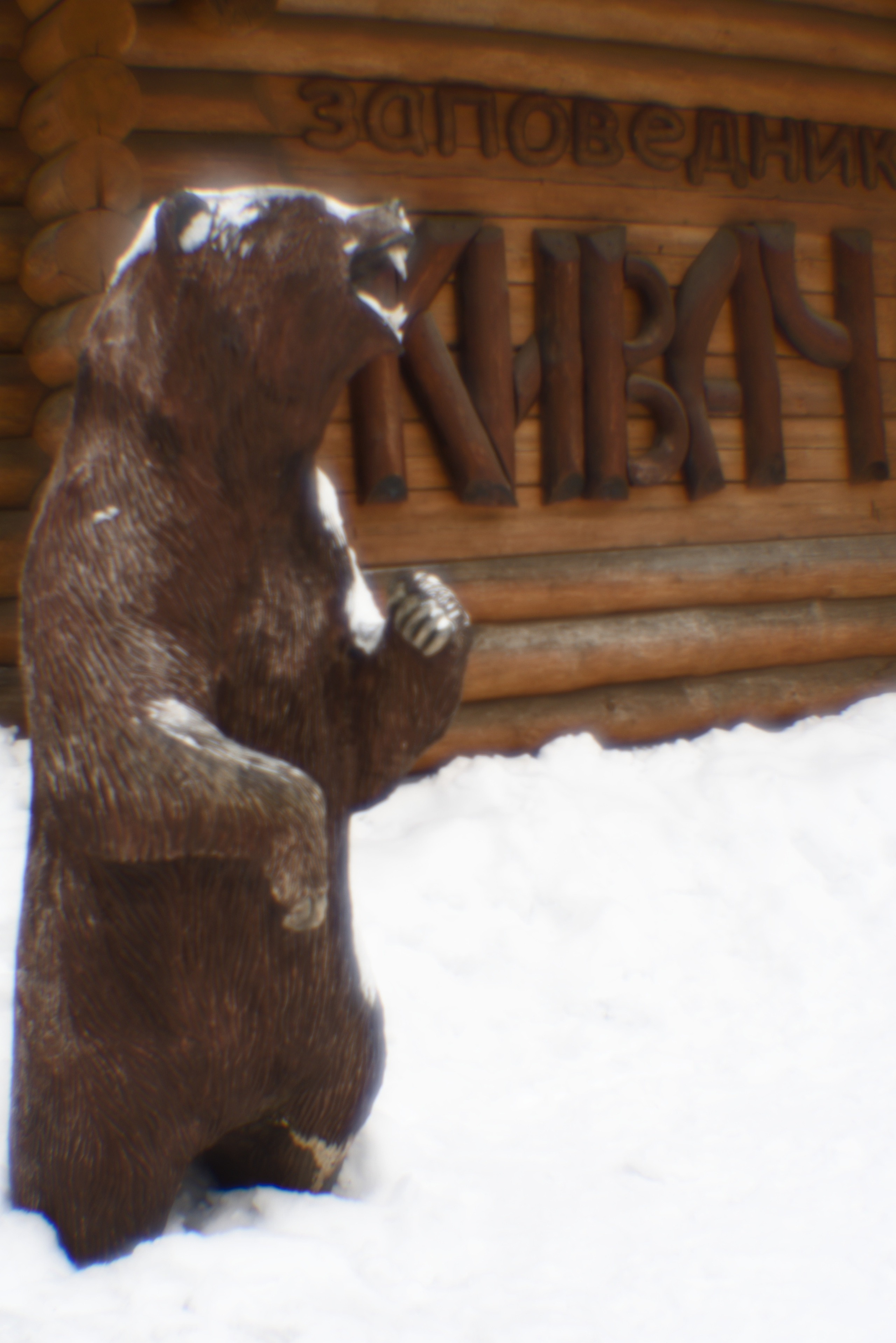 Карелия. 2022. То ещё портфолио