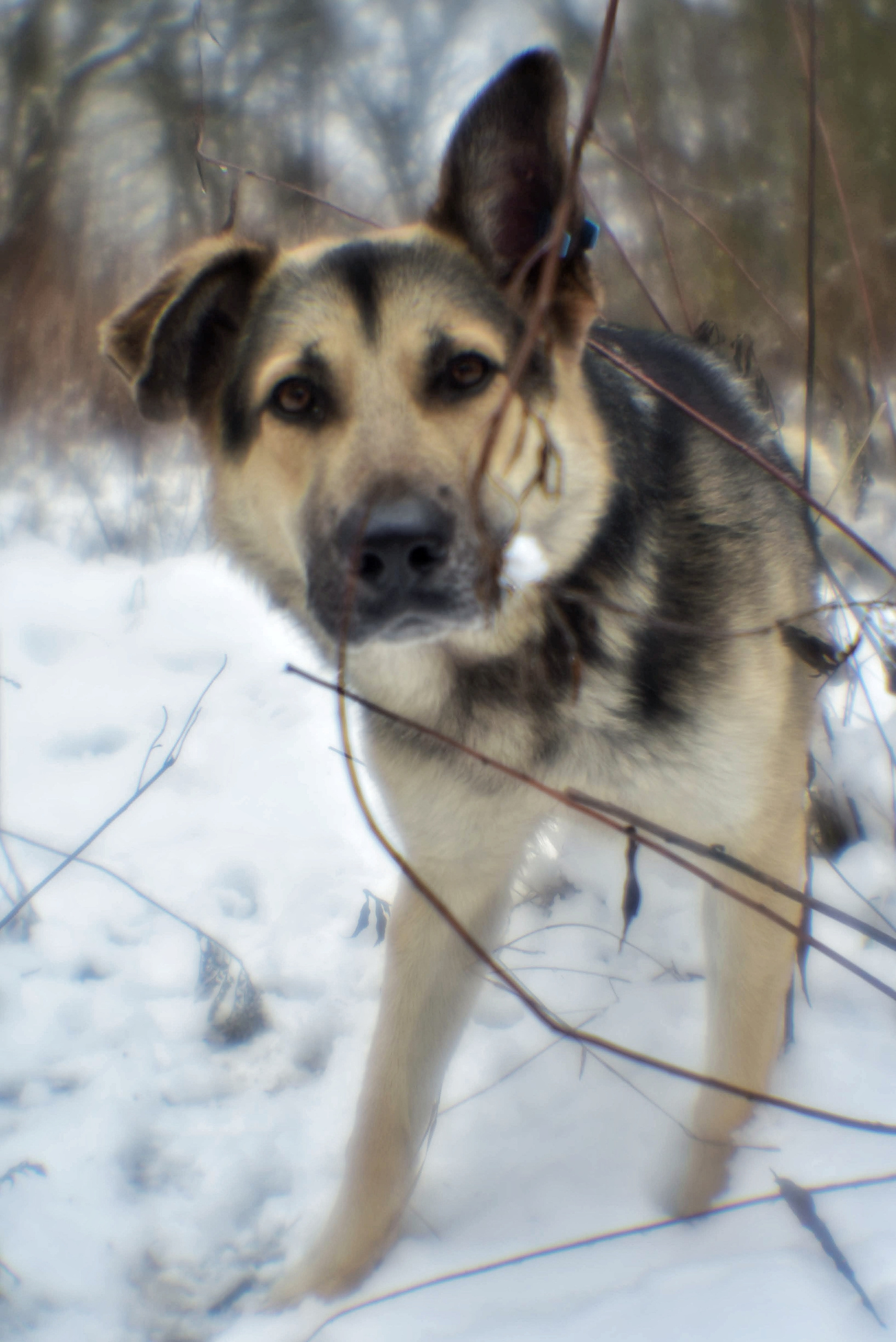 Монокль. То ещё портфолио