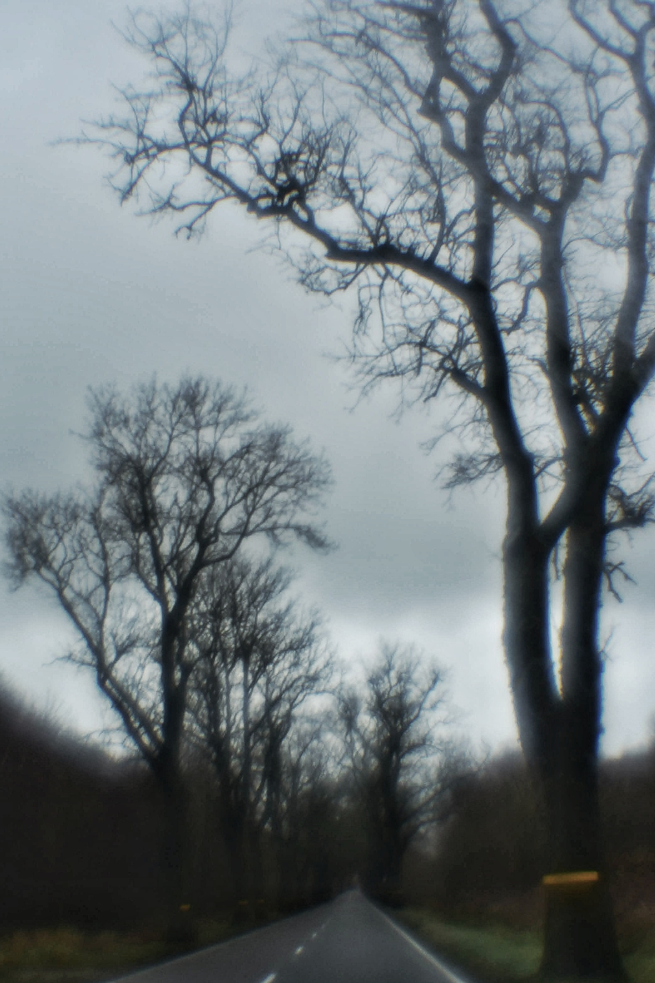 Монокль. То ещё портфолио