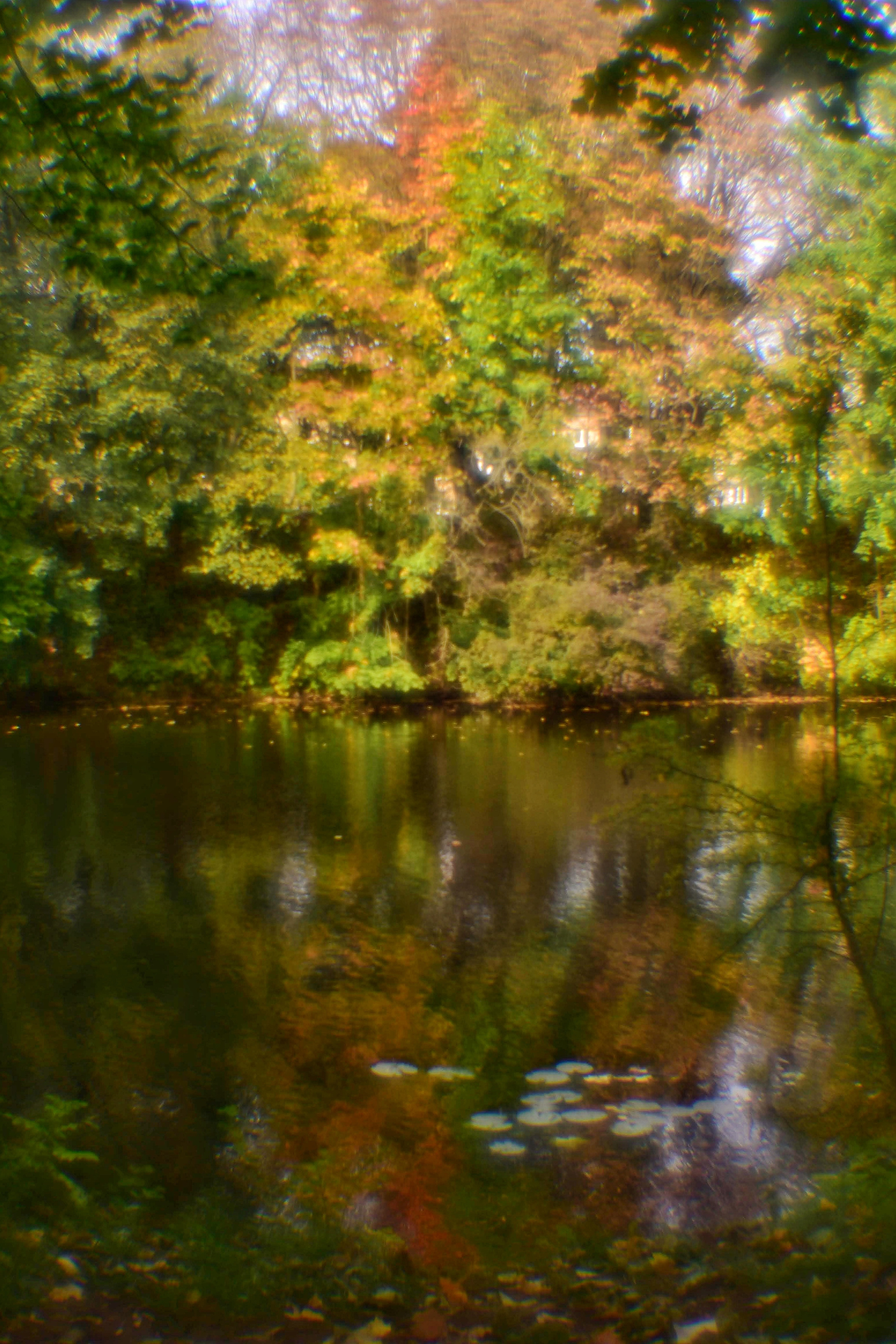 Монокль. То ещё портфолио