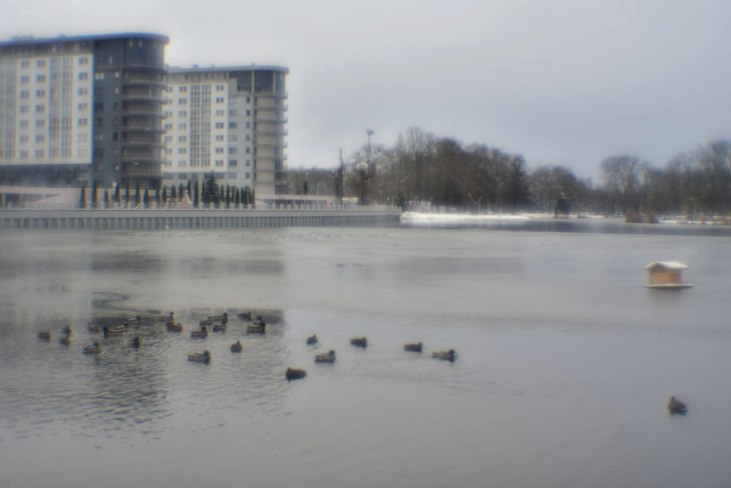 Монокль. То ещё портфолио