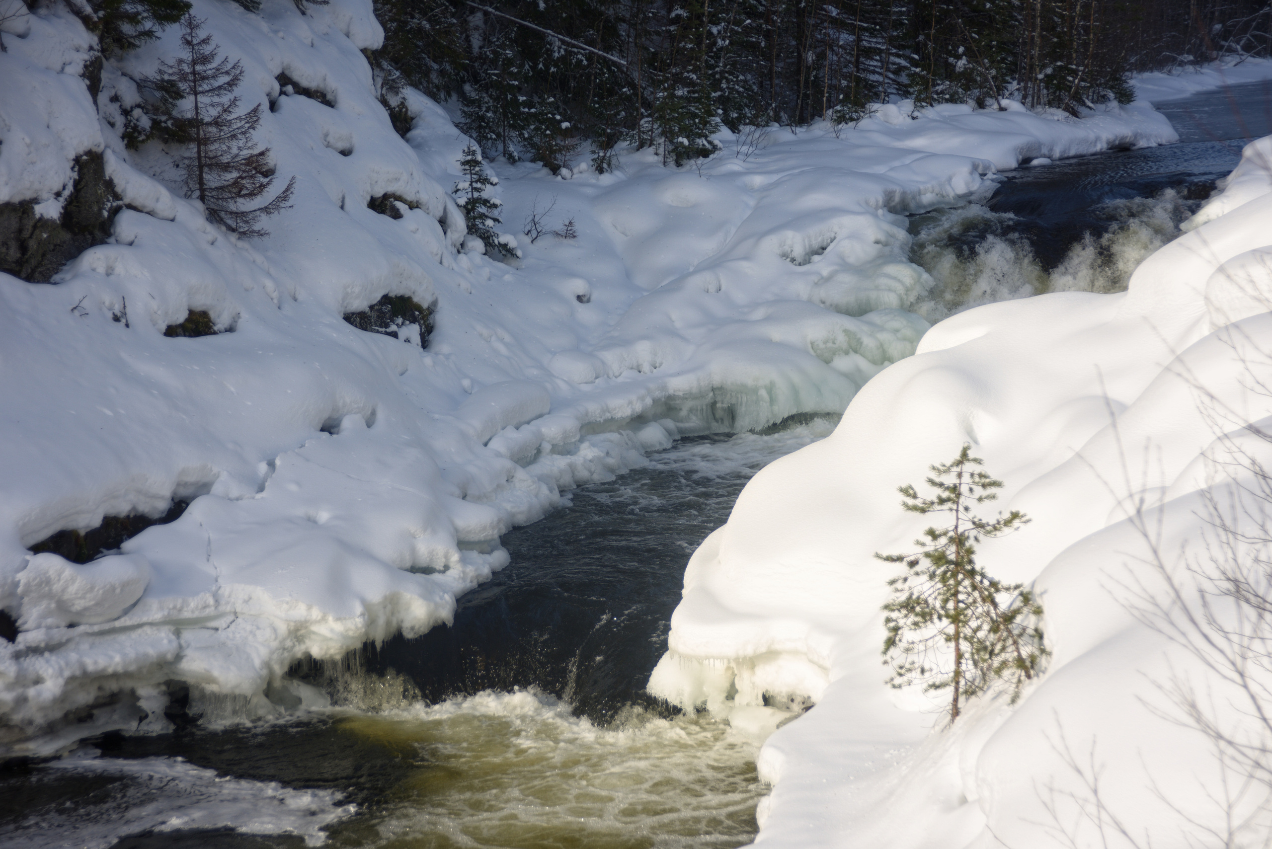 Карелия. 2022. То ещё портфолио