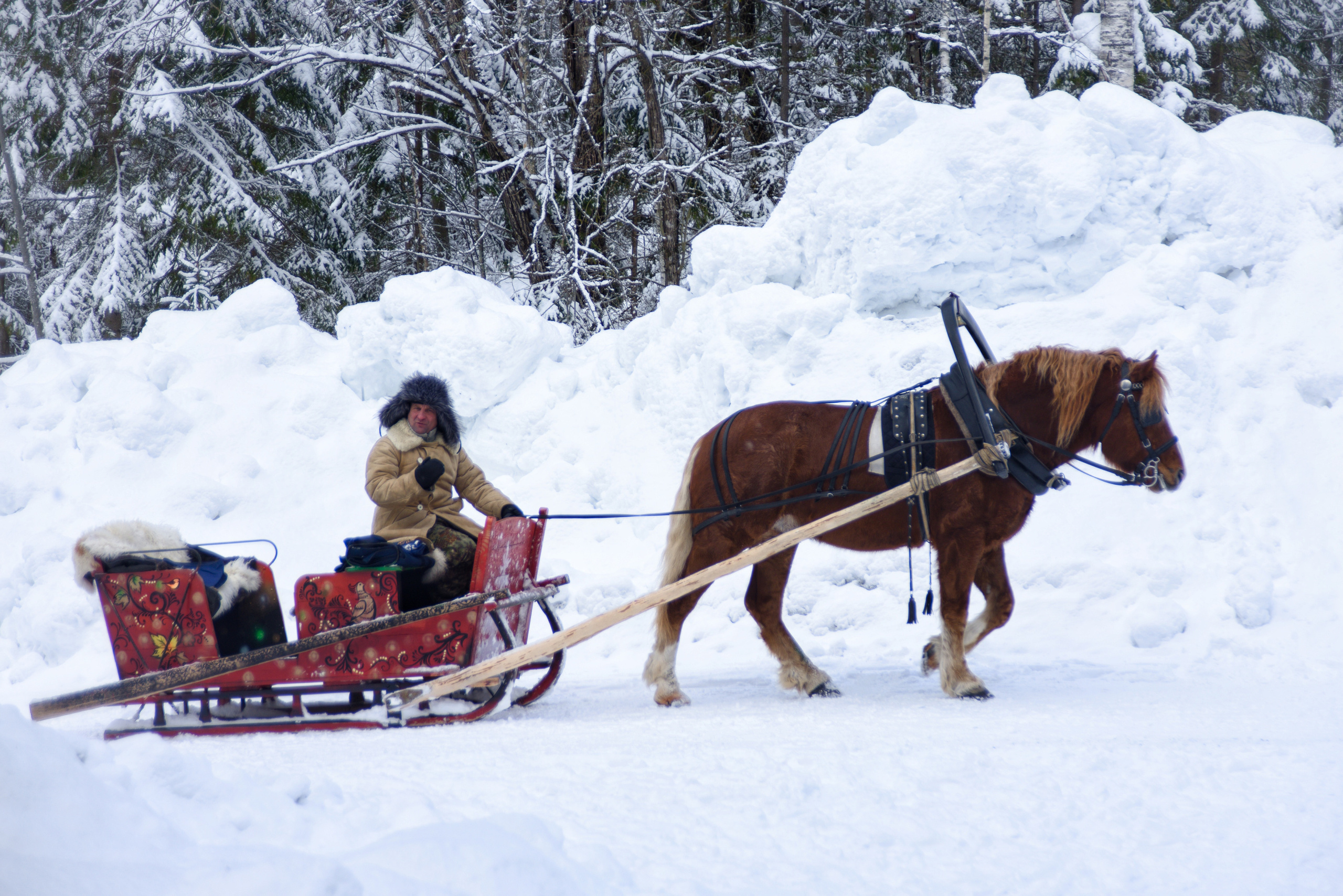 Карелия. 2022. То ещё портфолио
