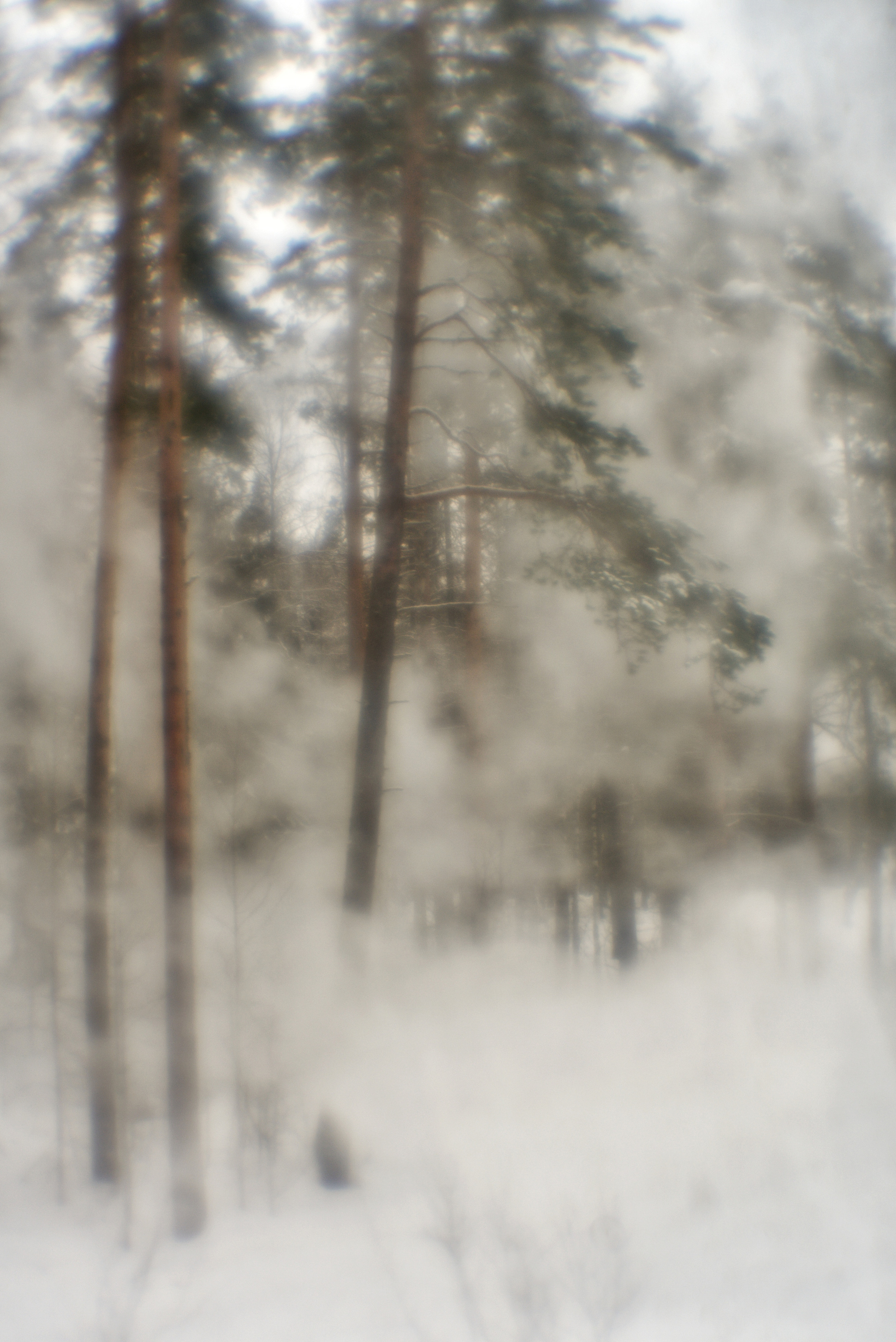 Карелия. 2022. То ещё портфолио