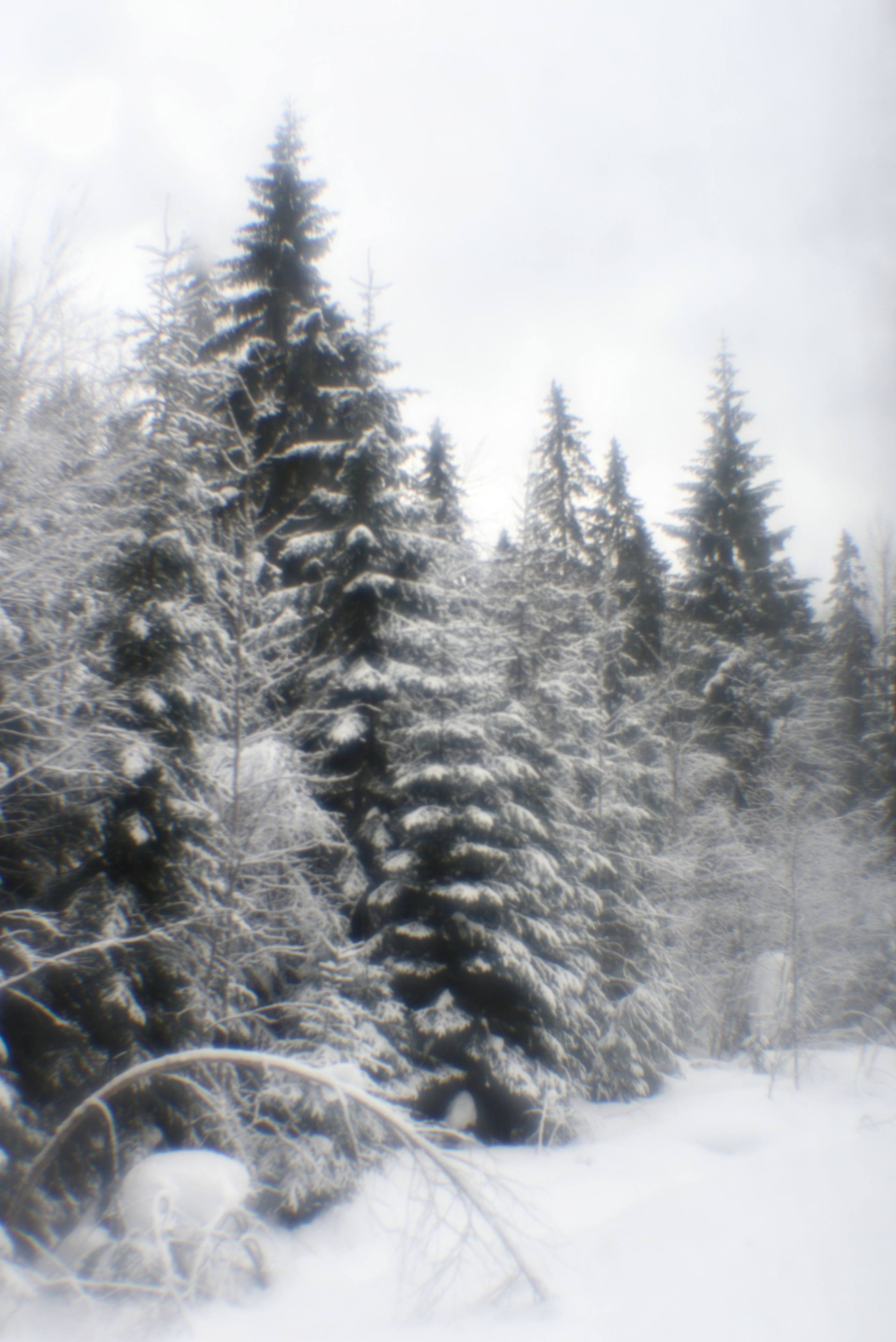 Карелия. 2022. То ещё портфолио