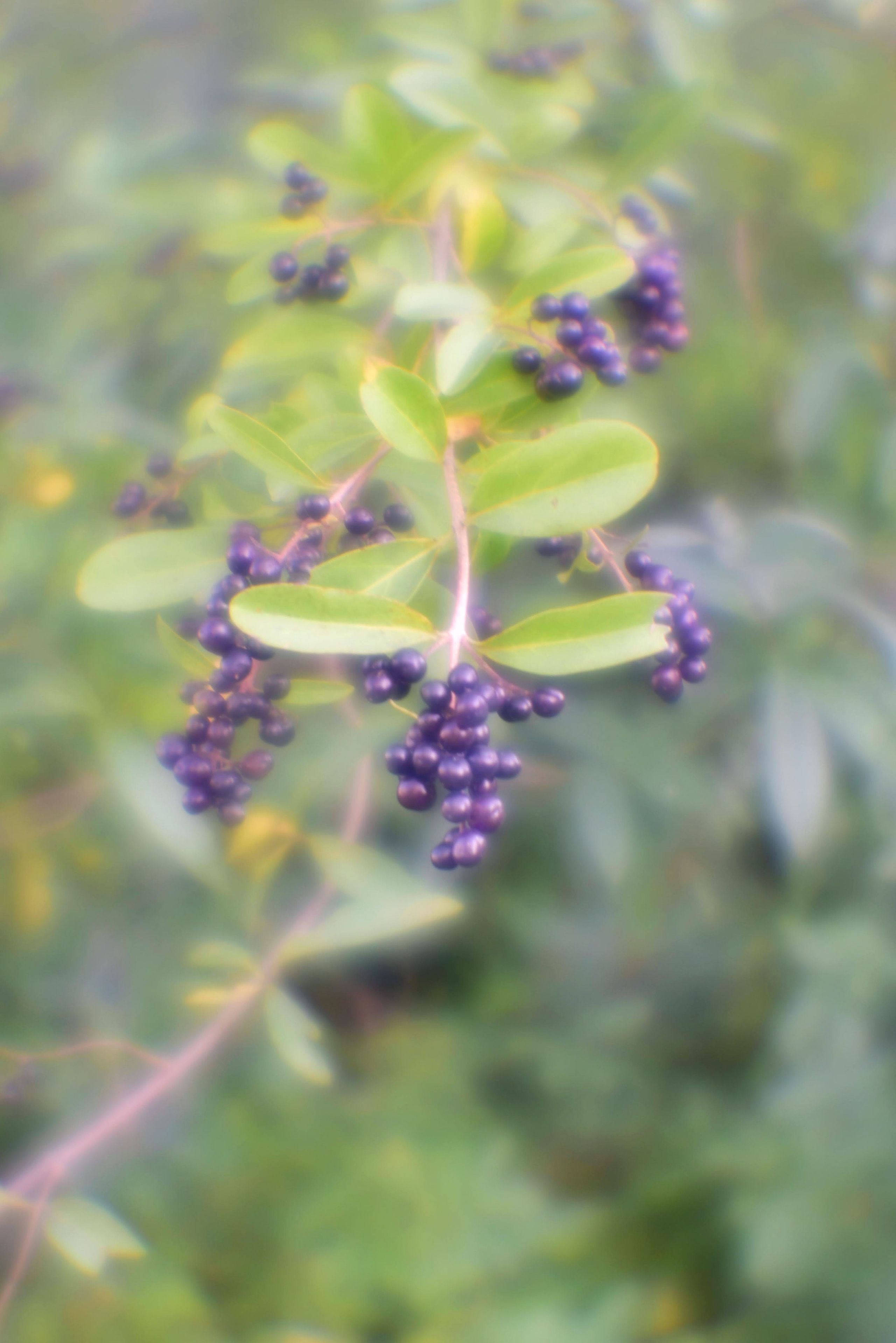 Монокль. То ещё портфолио