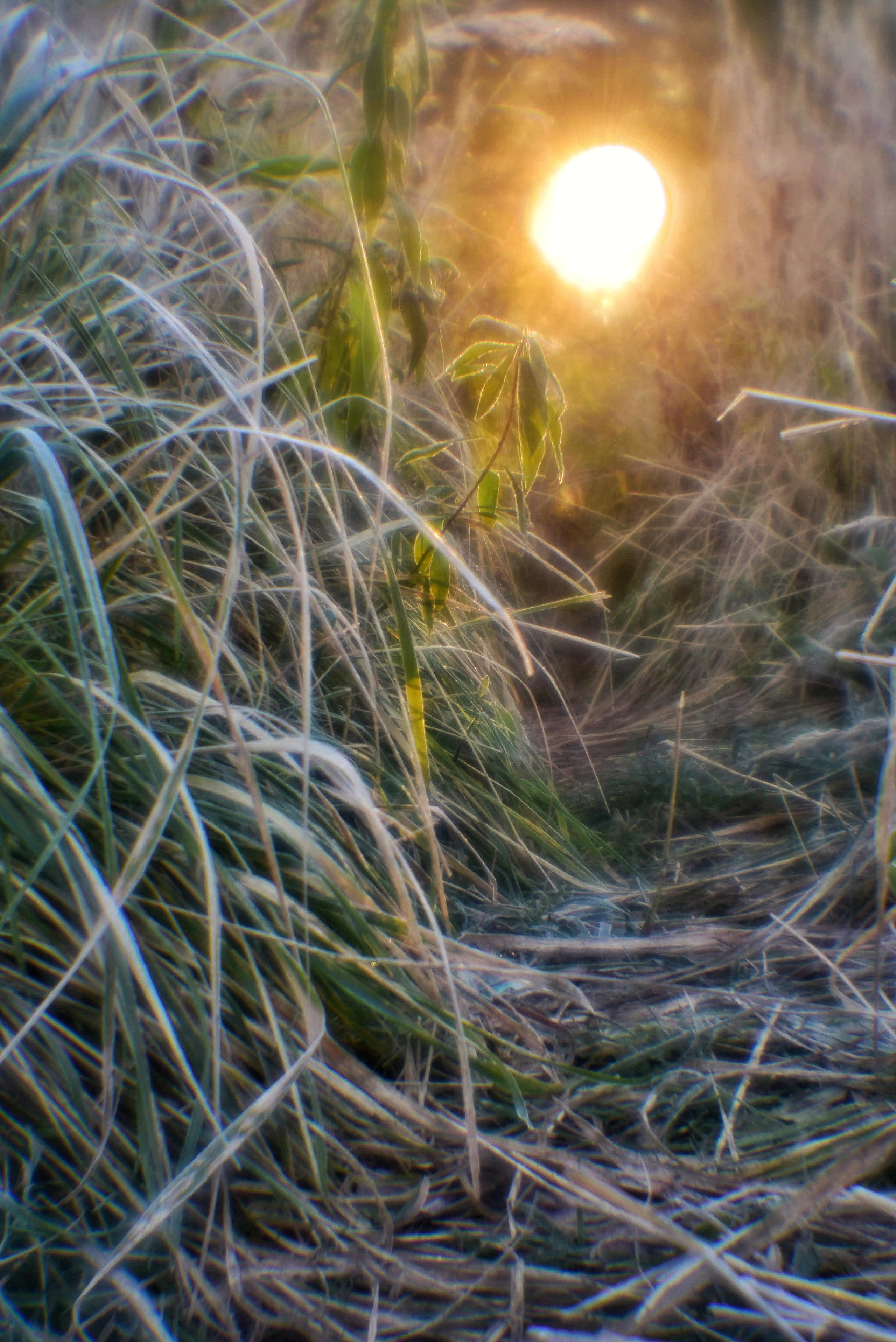 Монокль. То ещё портфолио