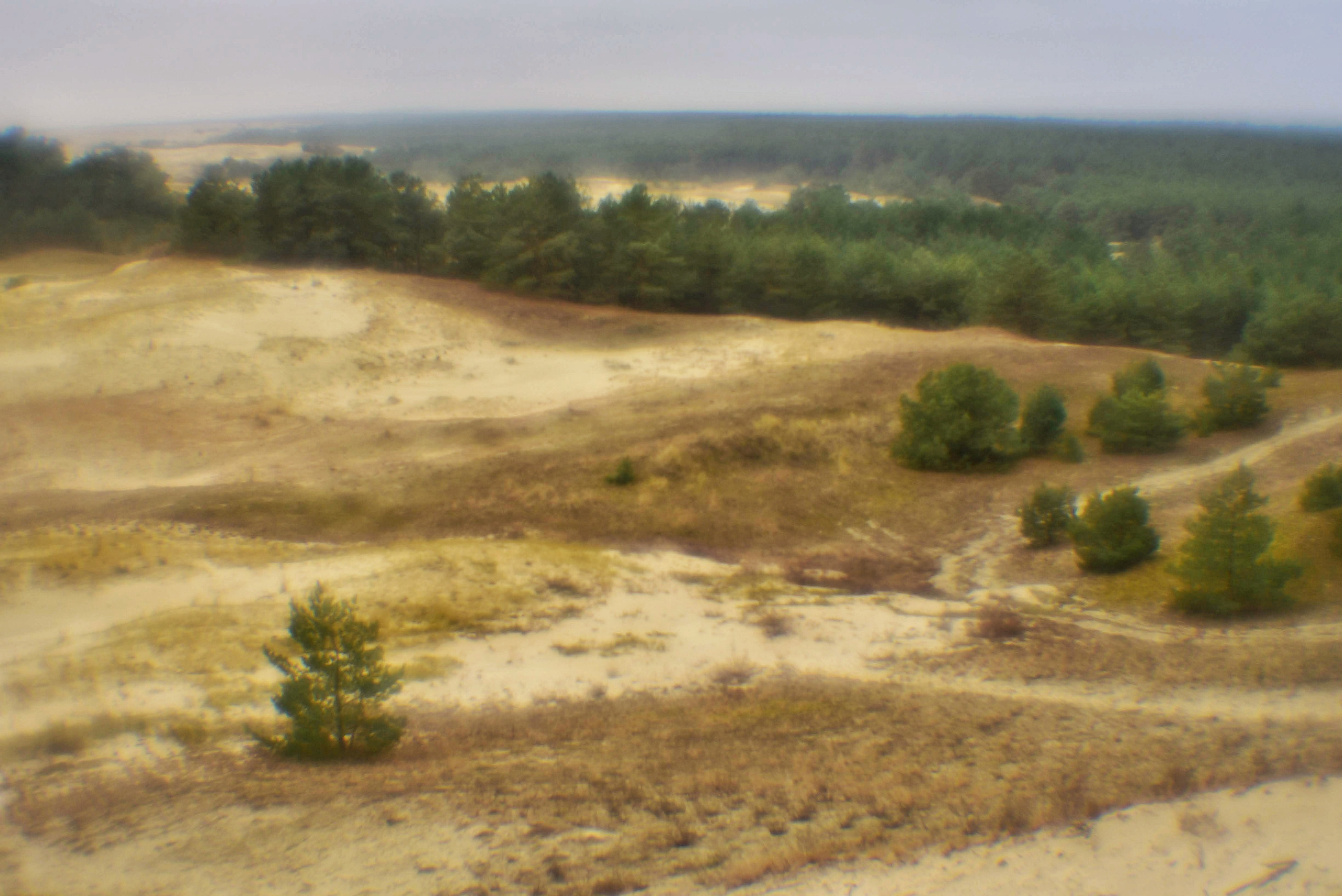 Монокль. То ещё портфолио