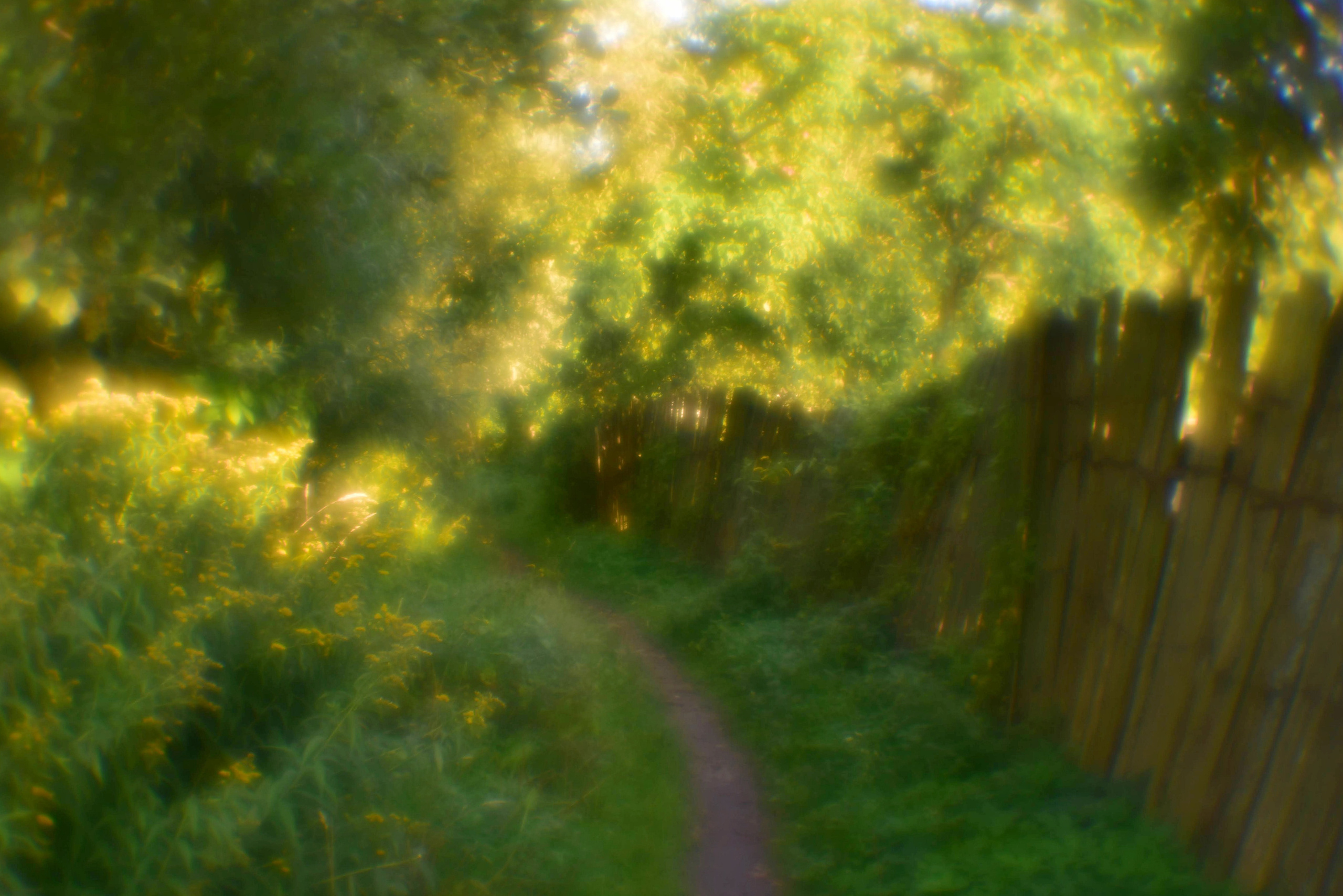 Монокль. То ещё портфолио