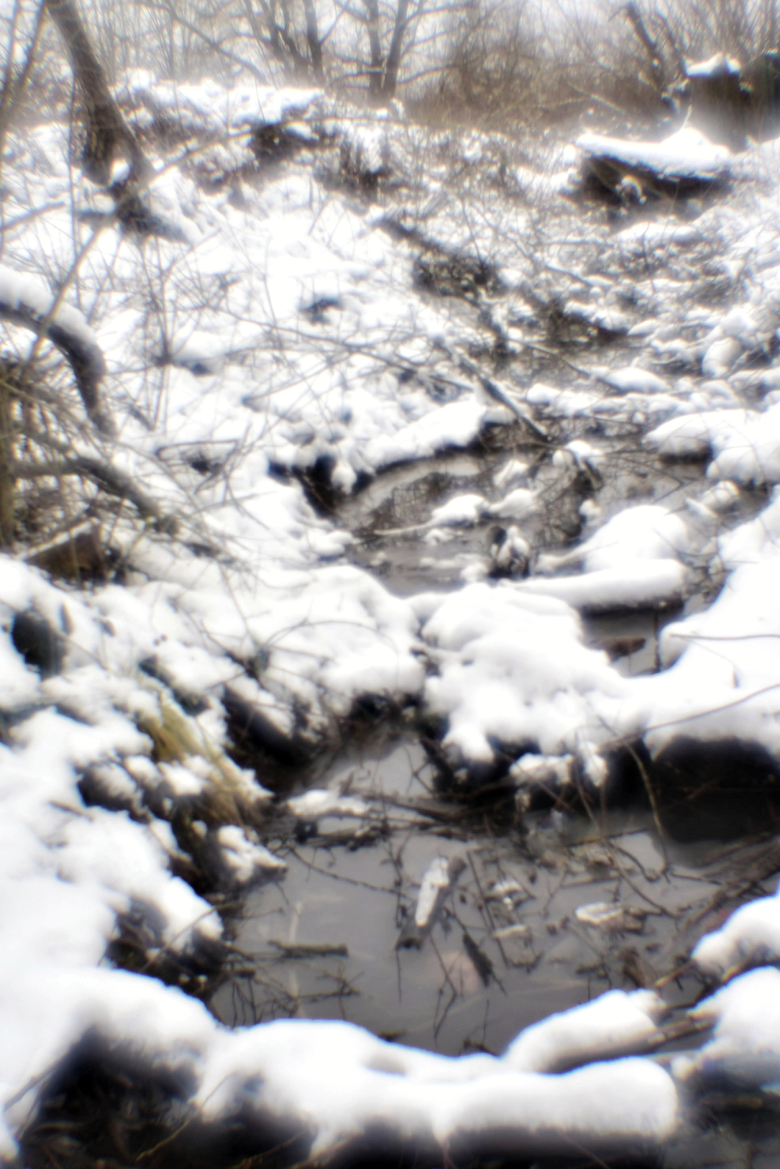 Монокль. То ещё портфолио