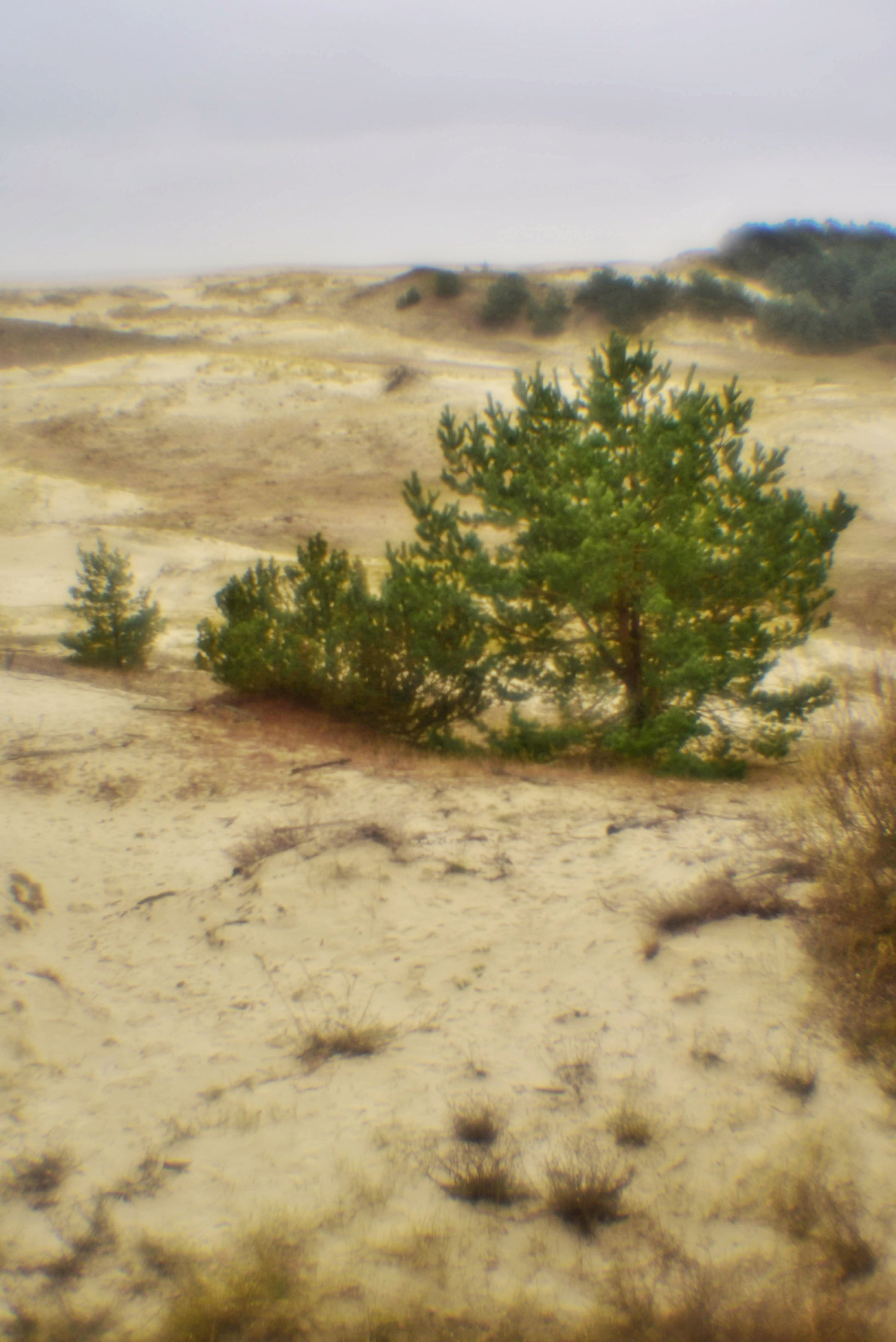 Монокль. То ещё портфолио