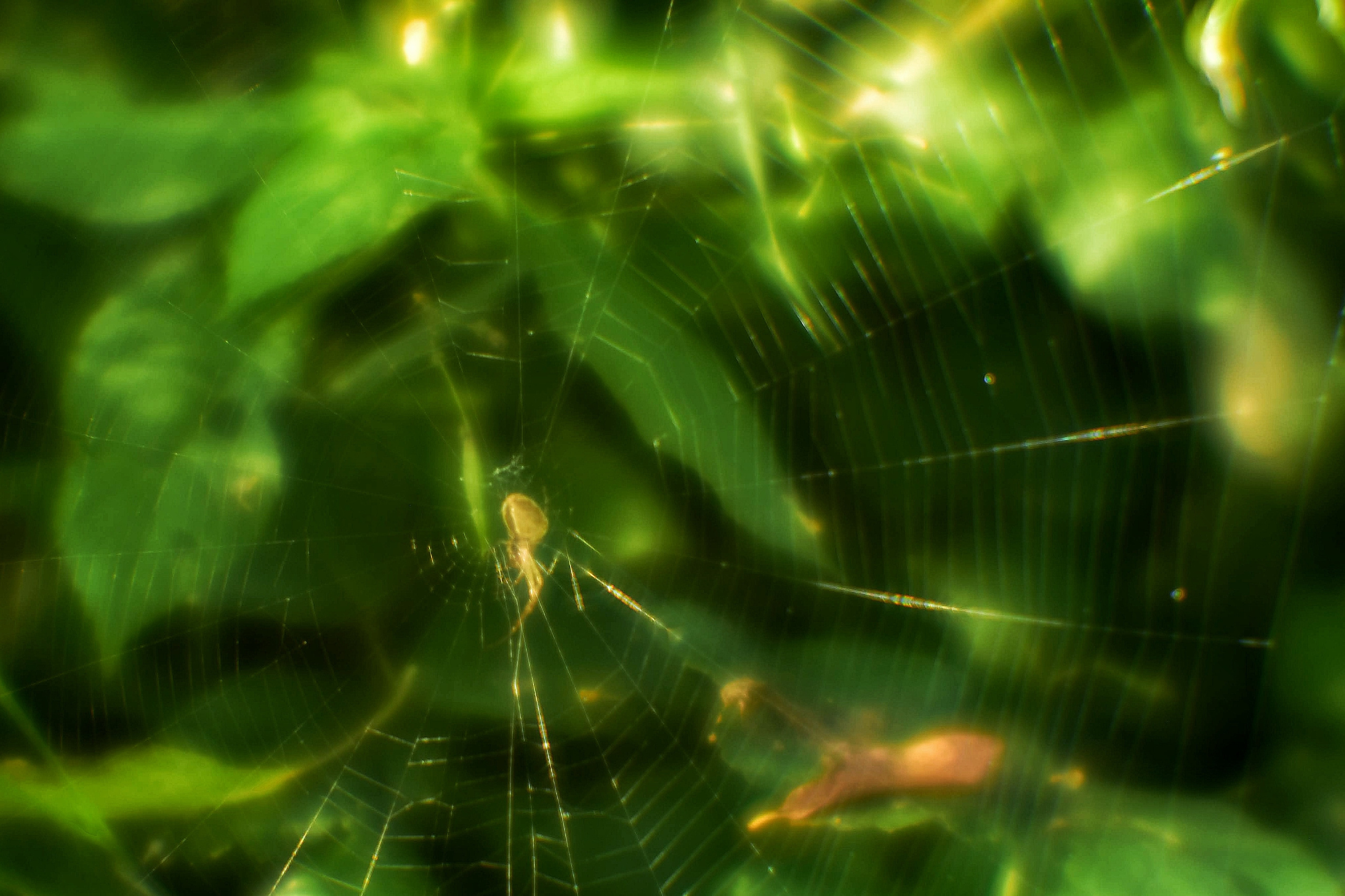 Монокль. То ещё портфолио