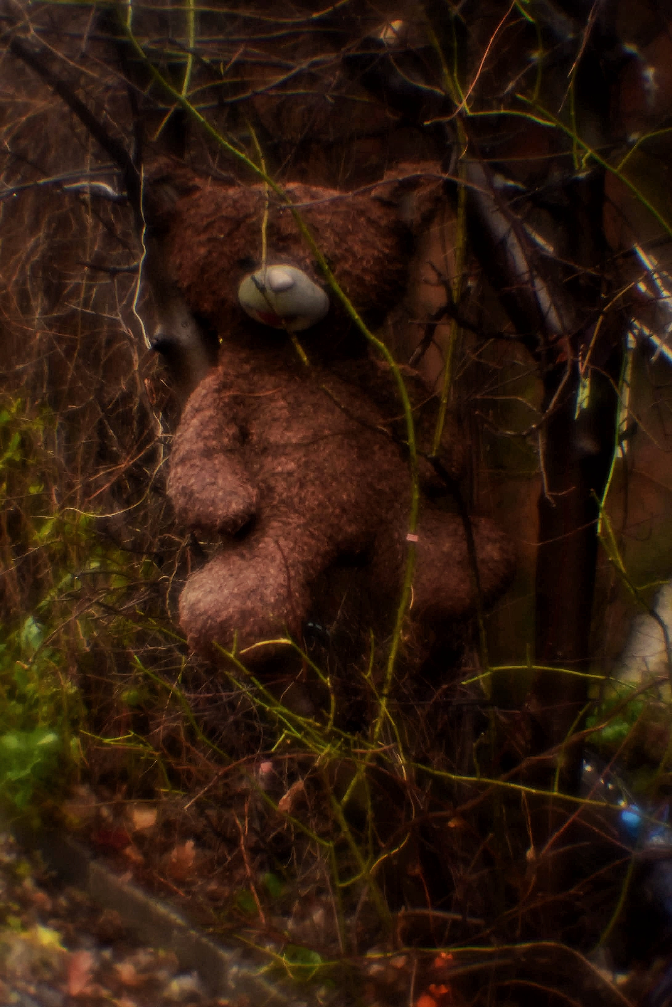 Монокль. То ещё портфолио