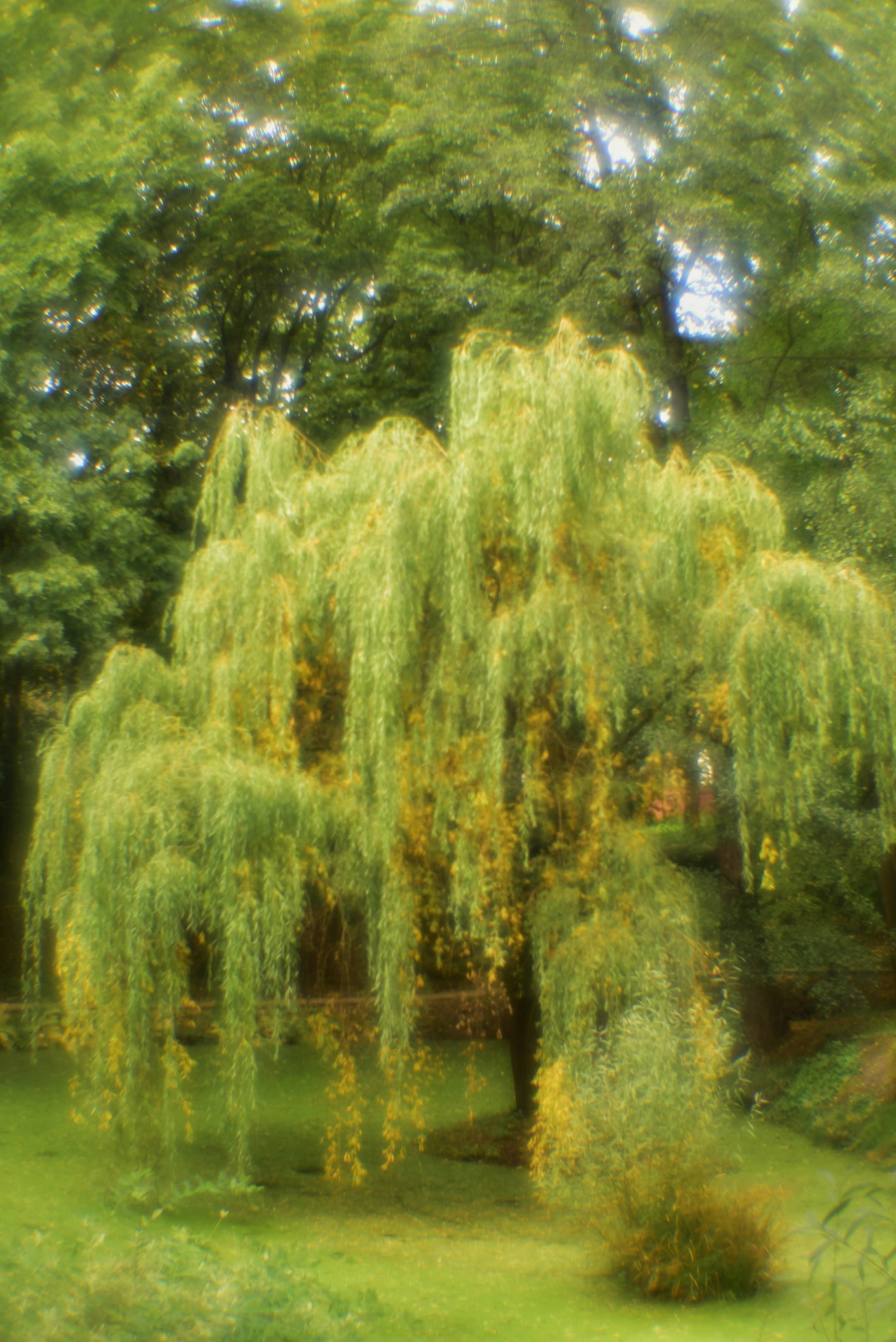 Монокль. То ещё портфолио