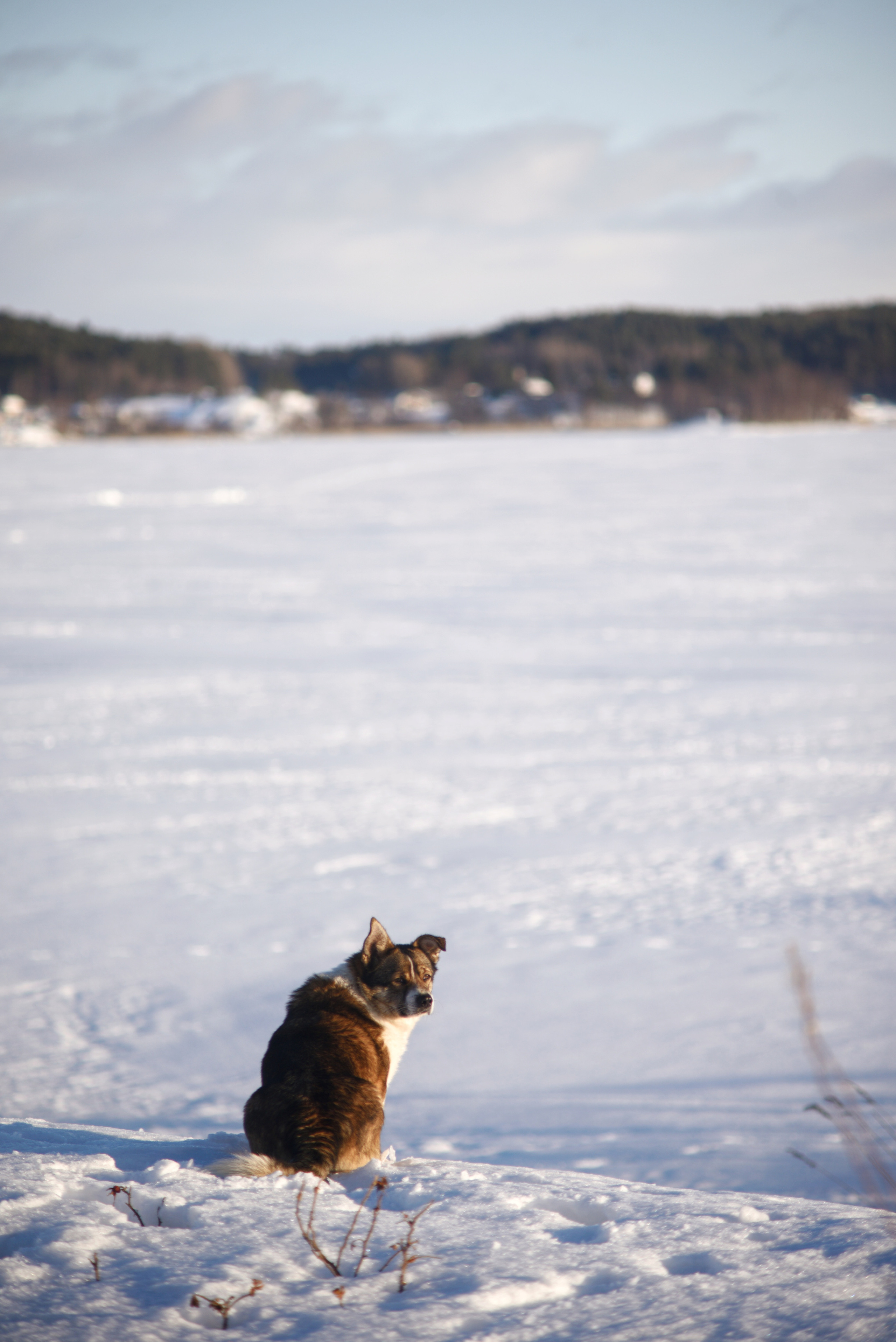 Карелия. 2022. То ещё портфолио
