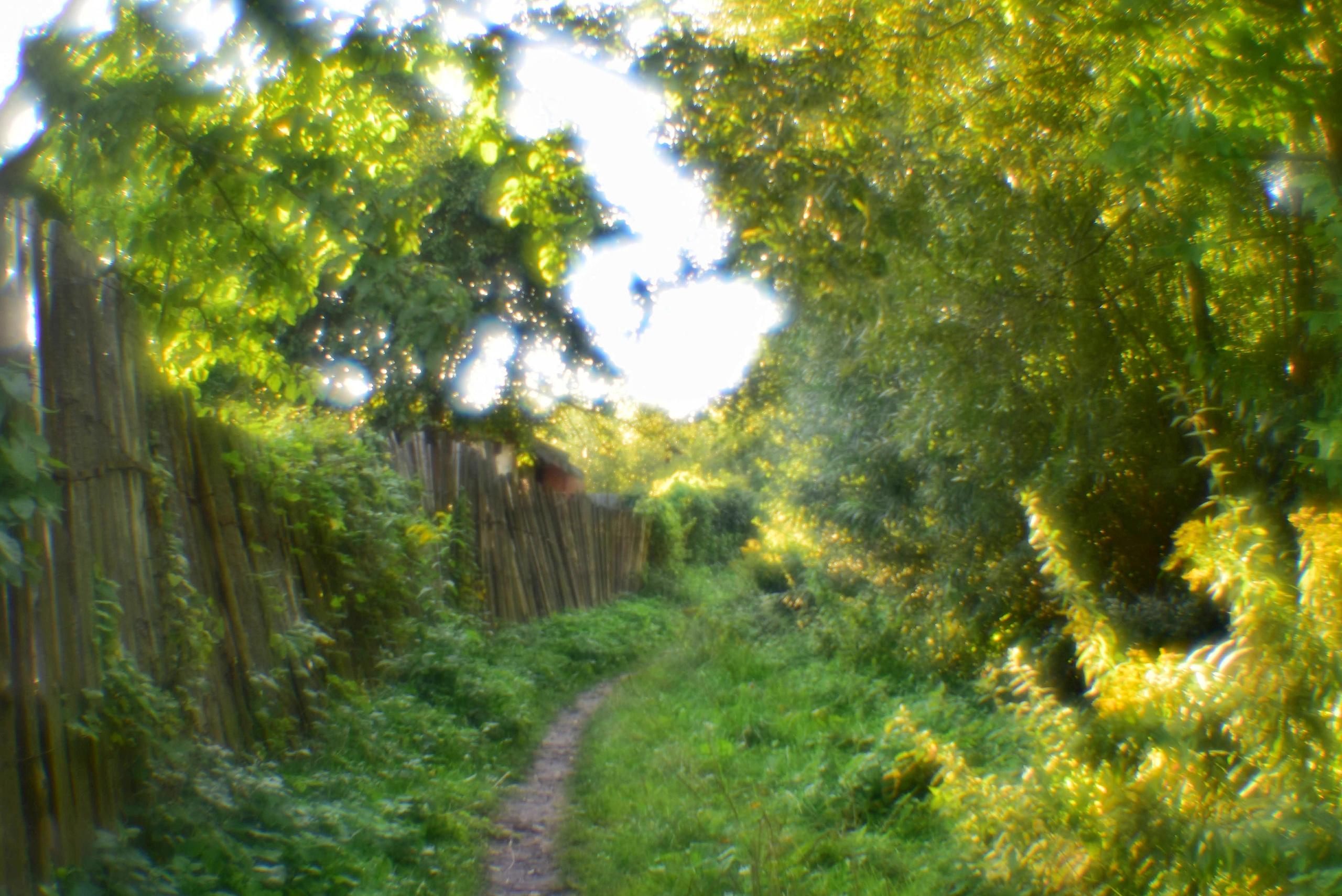 Монокль. То ещё портфолио