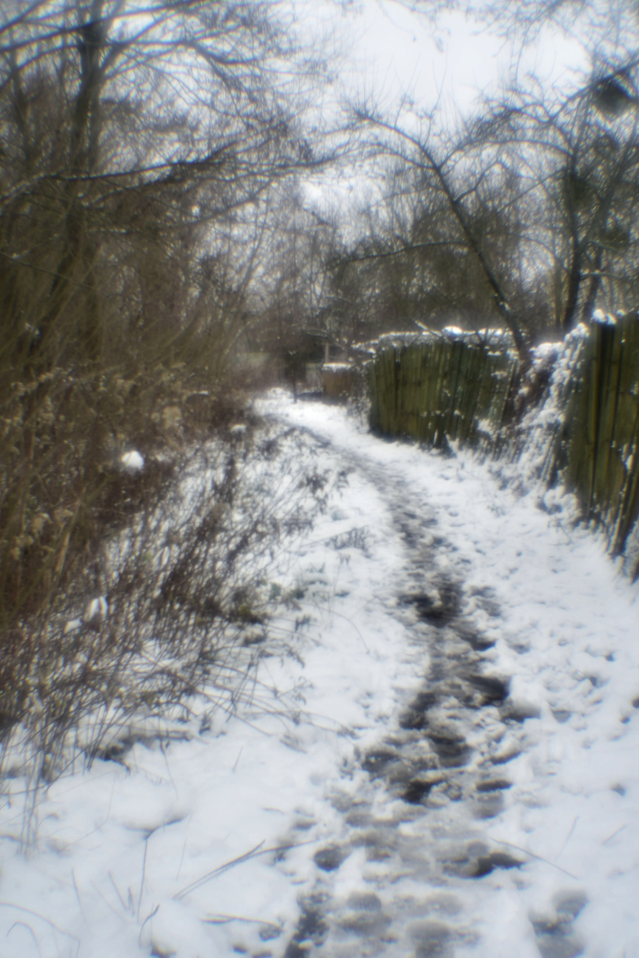 Монокль. То ещё портфолио