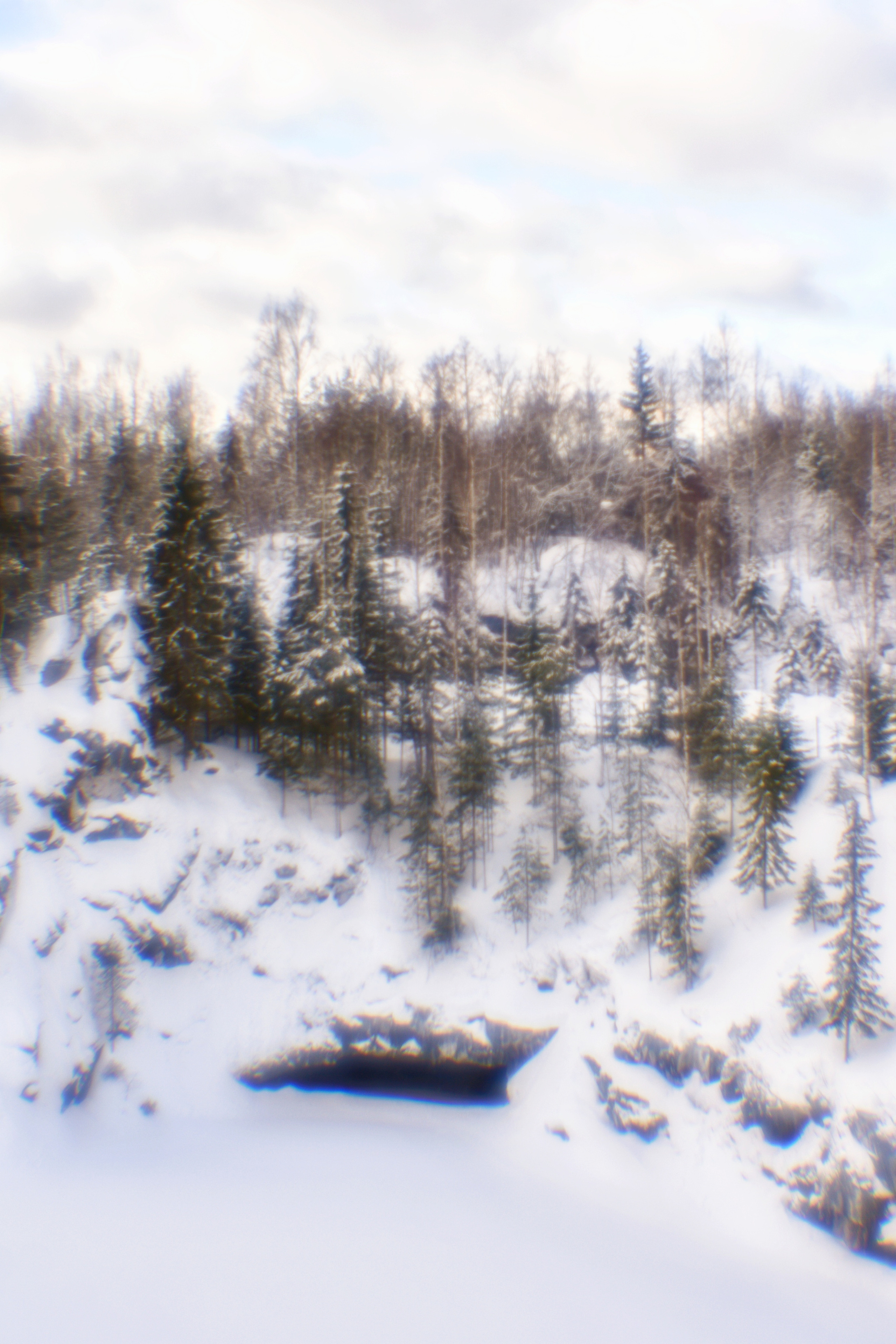 Карелия. 2022. То ещё портфолио