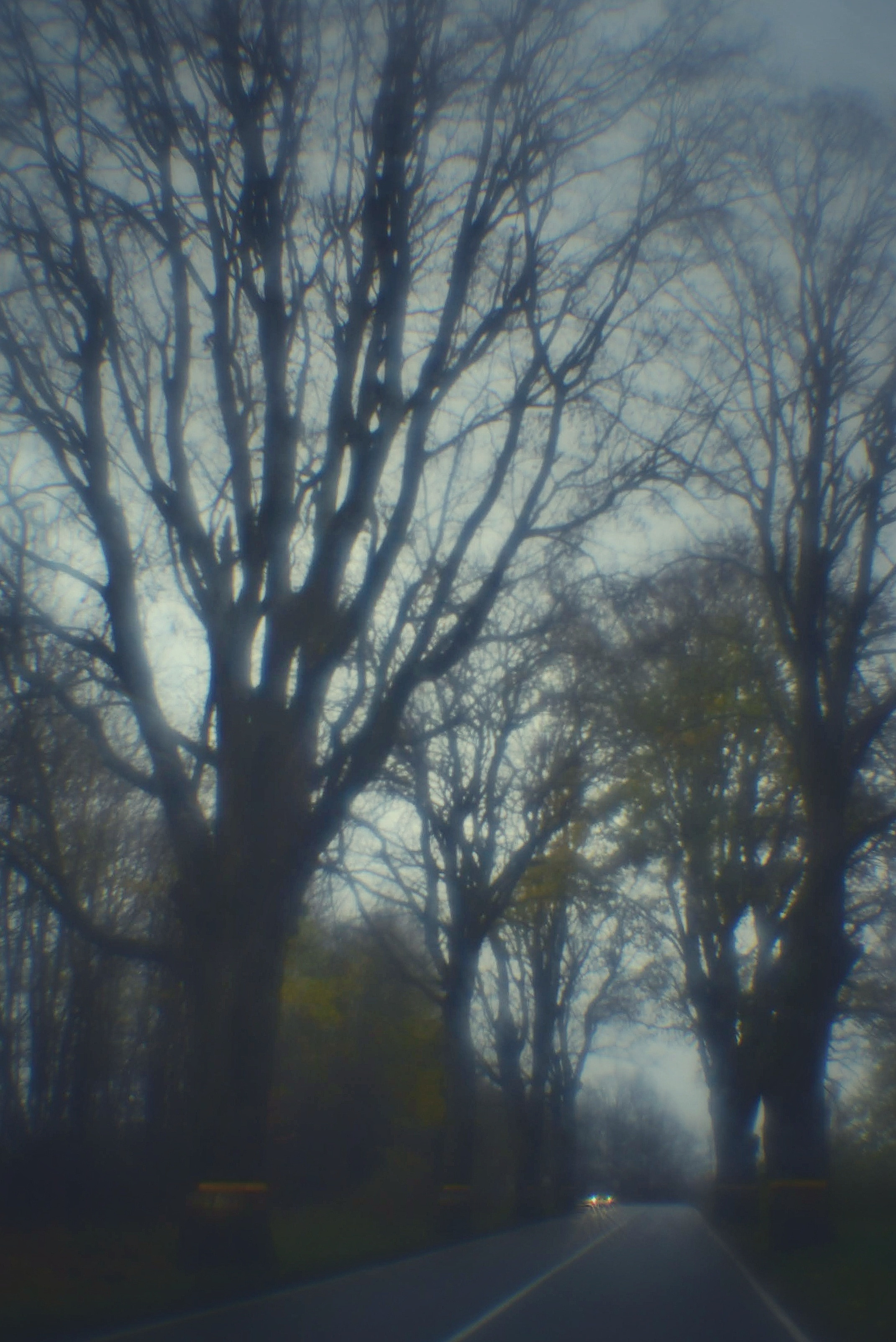 Монокль. То ещё портфолио