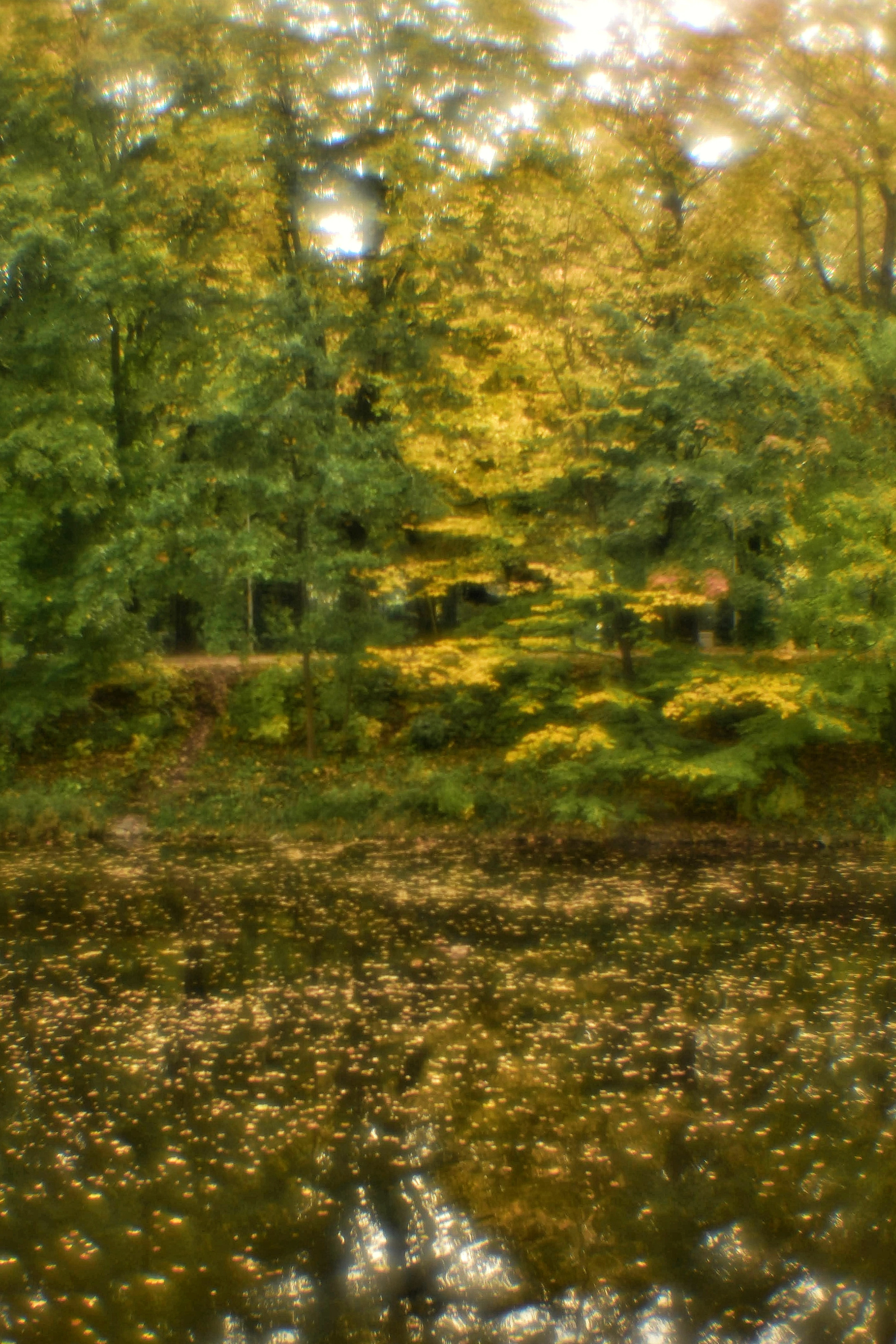 Монокль. То ещё портфолио