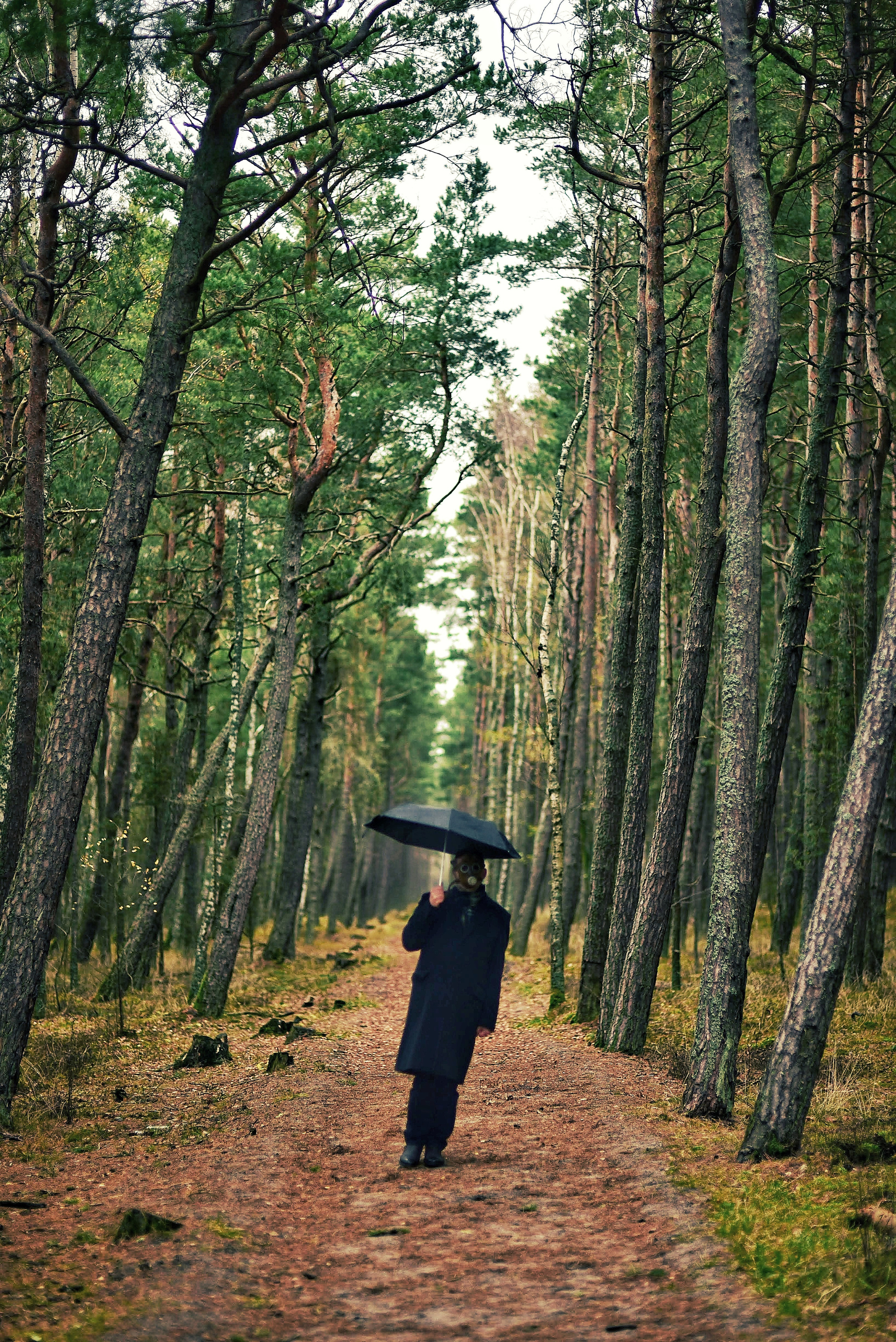 Автопортреты. То ещё портфолио