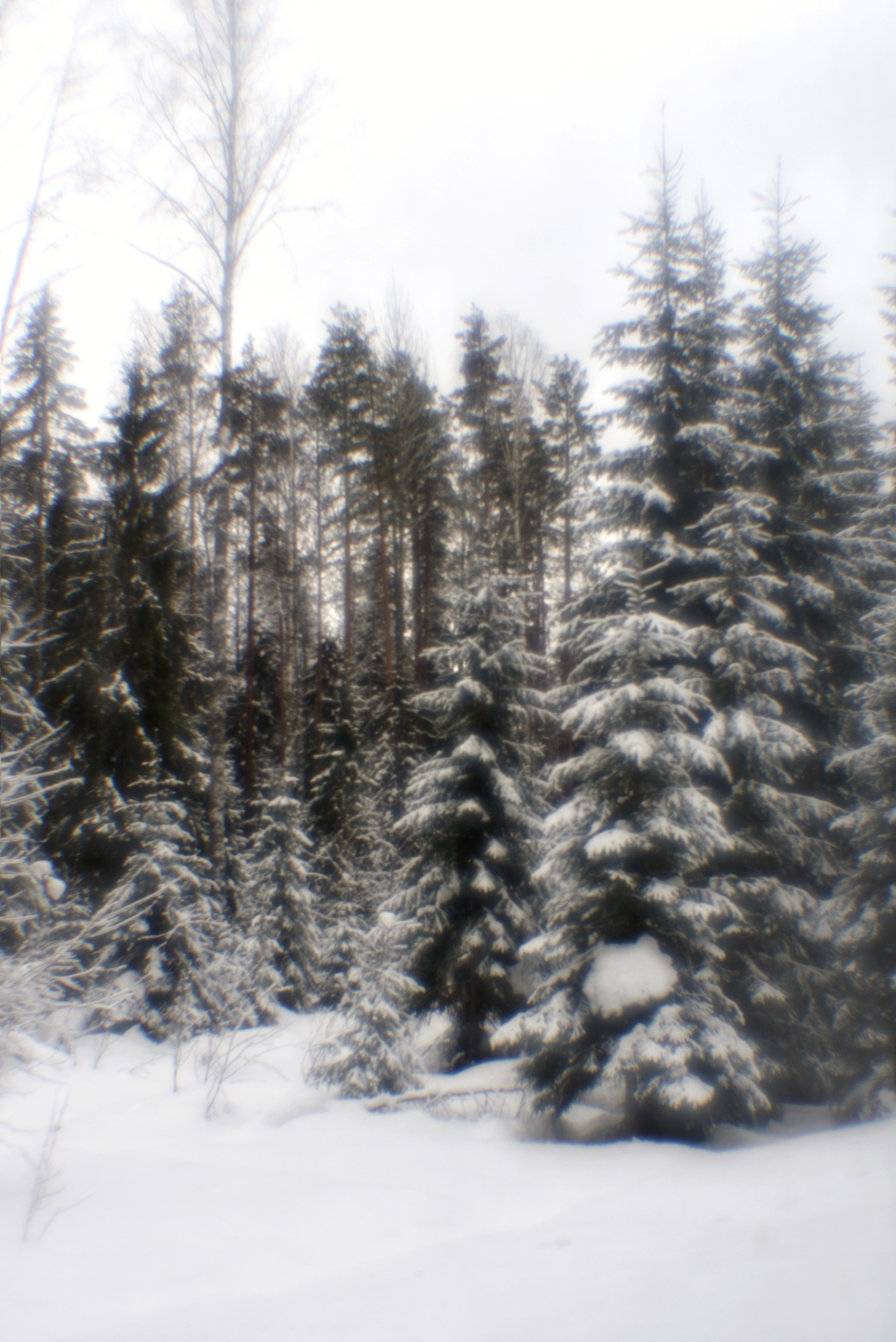 Карелия. 2022. То ещё портфолио